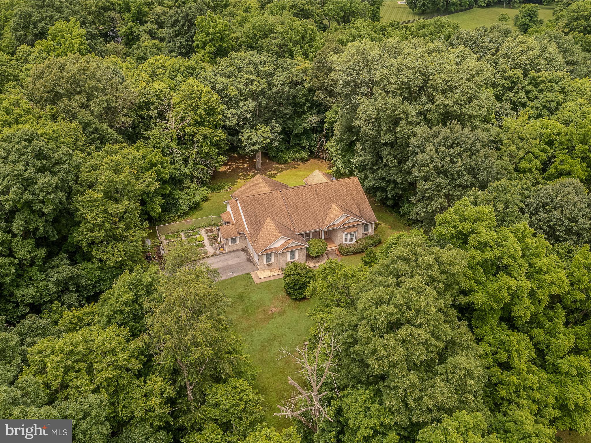 DANIEL BURHAN MINOR - Residential