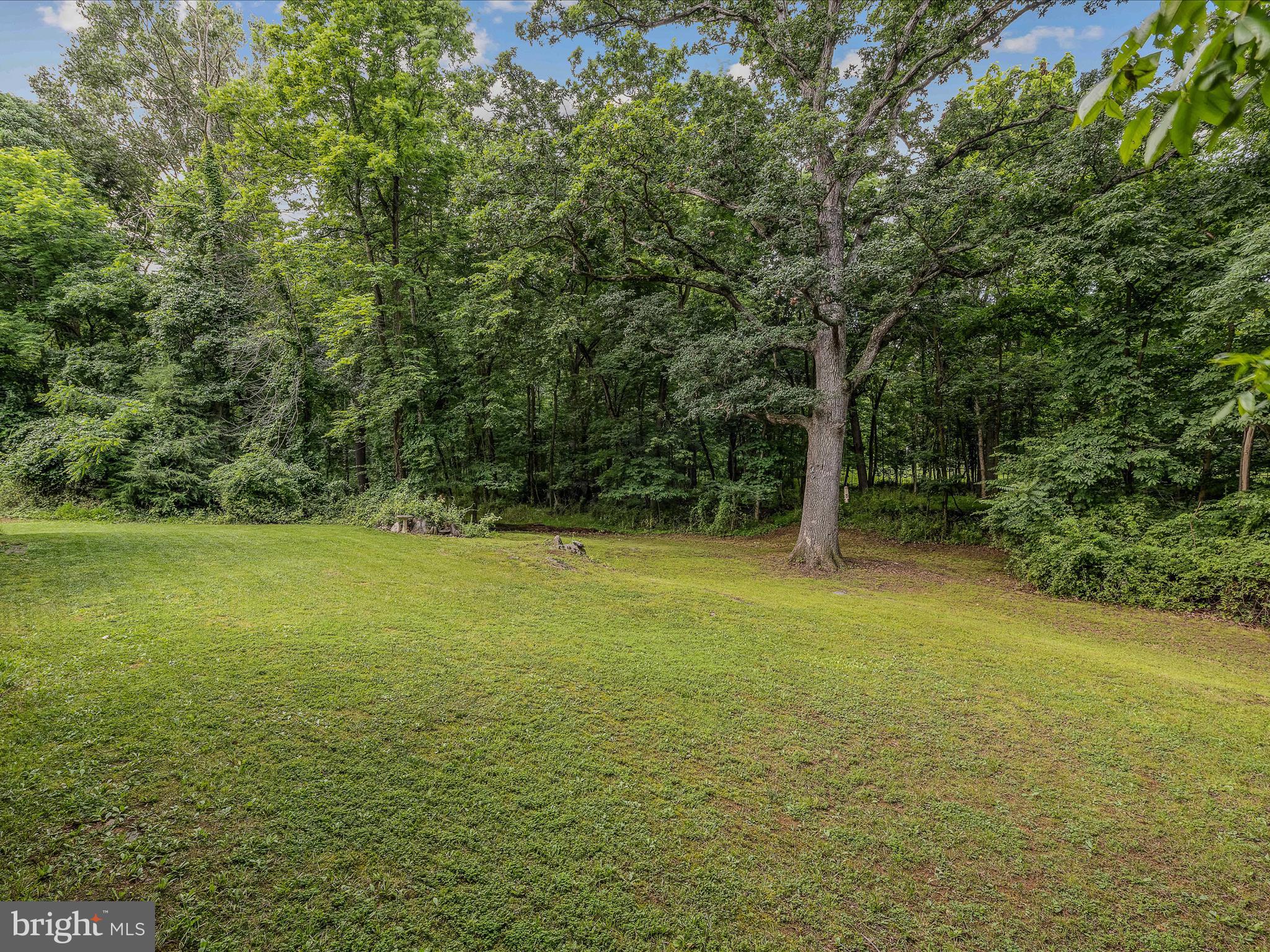 DANIEL BURHAN MINOR - Residential