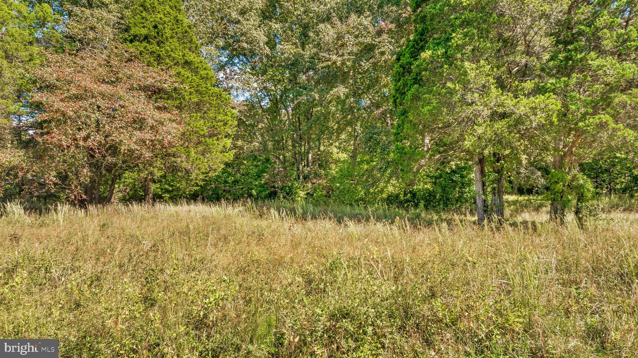 LONGVIEW BEACH - Land