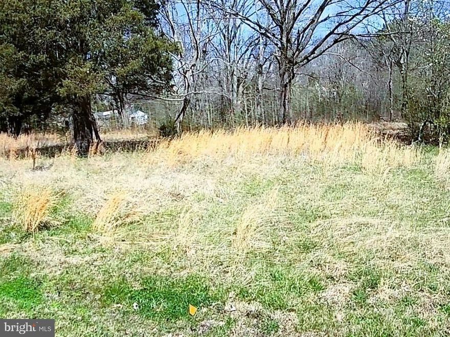 Are you looking to invest or build your own beach house?  If so, this .23 acre (60x120 sq. ft.)  lot has your name on it!  Welcome to Longview Beach Club, tucked away in a small, quiet water access community, in Bushwood, MD, in St. Mary's County.  Get your boat, jet skis, fishing rod and crab trap ready!  This beauty is walking distance from the Wicomico River. The community offers a Fishing Pier / Dock, Tennis and Basketball Court, Playground, Picnic Area and Club House.  Longview Beach is just a short drive from Maryland International Raceway (Budds Creek), golf courses, museums, parks and wineries.  **Buyer must do own due diligence.  This lot has not been perc tested.**