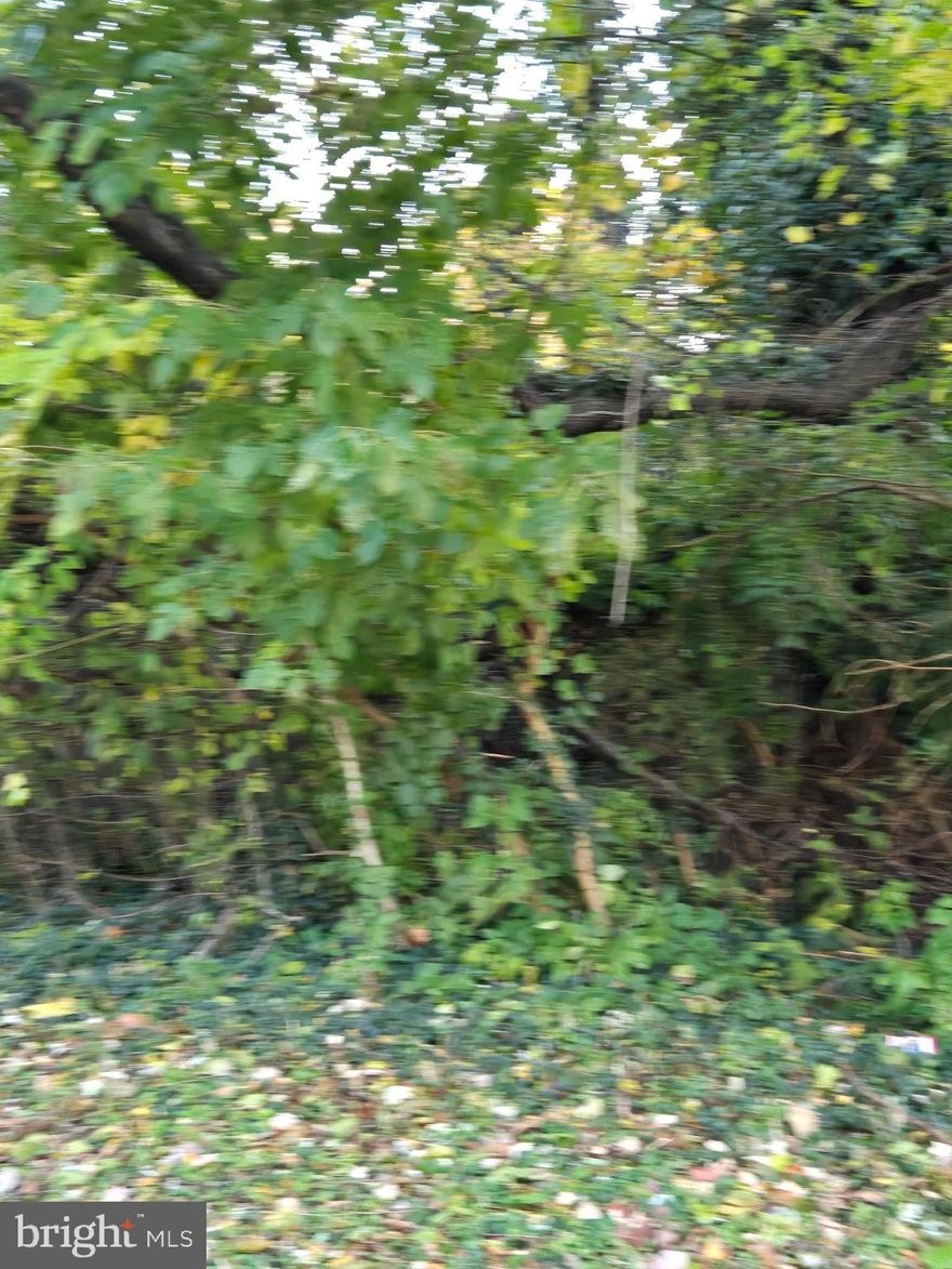 Previous building is a complete tear down.   Do not enter the building.  Half acre lot zoned R1, one property. Buyer must contact Caroline County for any more information. There could be a private community septic on the property.  Seller will consider holding a 2 year note with $15,000 down payment.