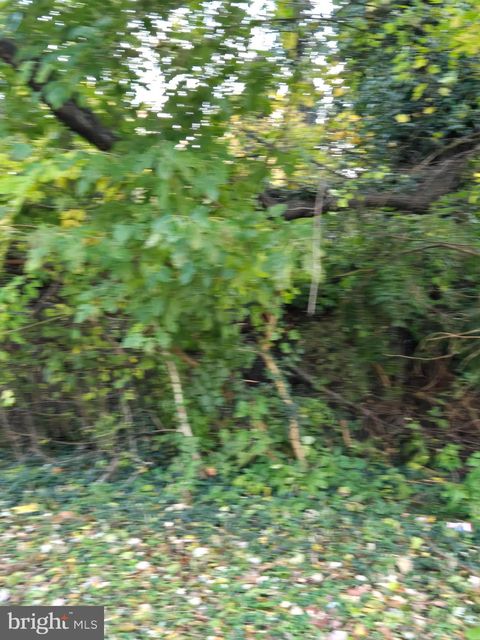 Vacant Land For Sale - 26519 3 Bridges Road<br/> Caroline County, FEDERALSBURG, MD 21632