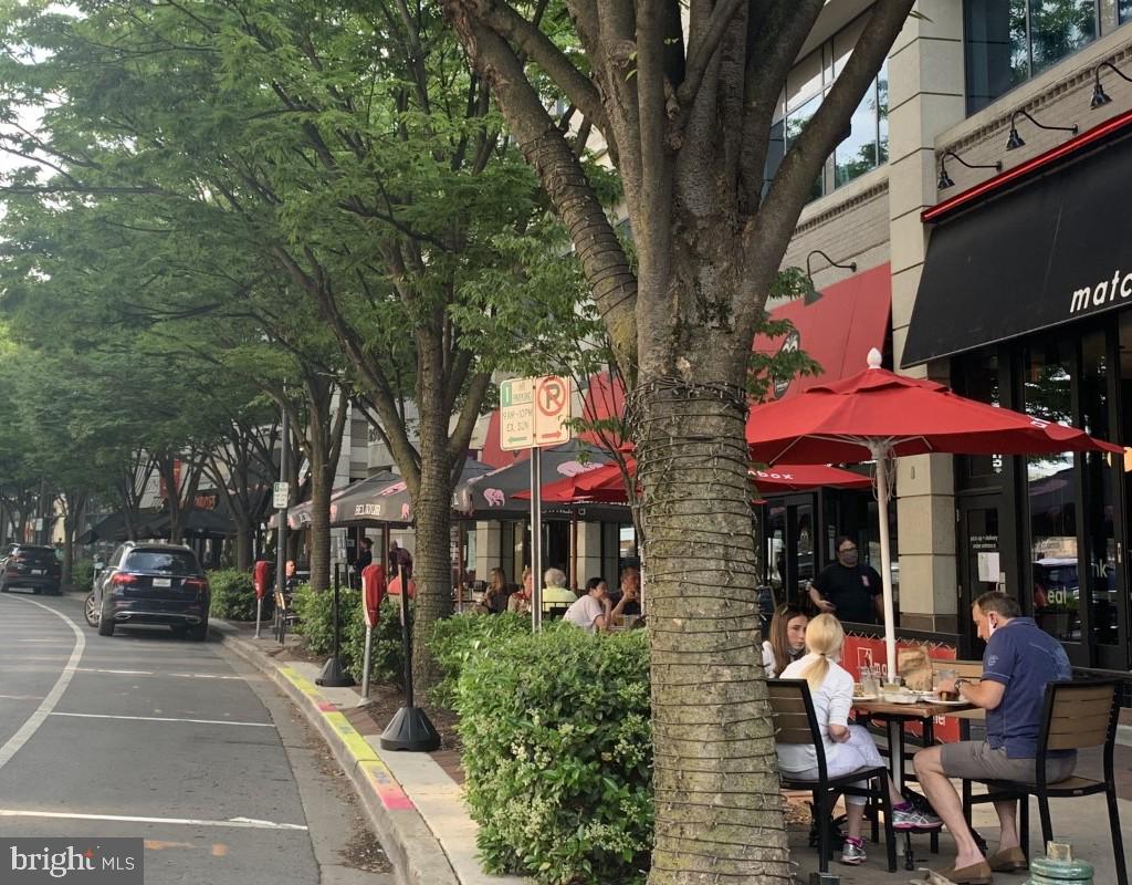 POTOMAC OUTSIDE - Residential