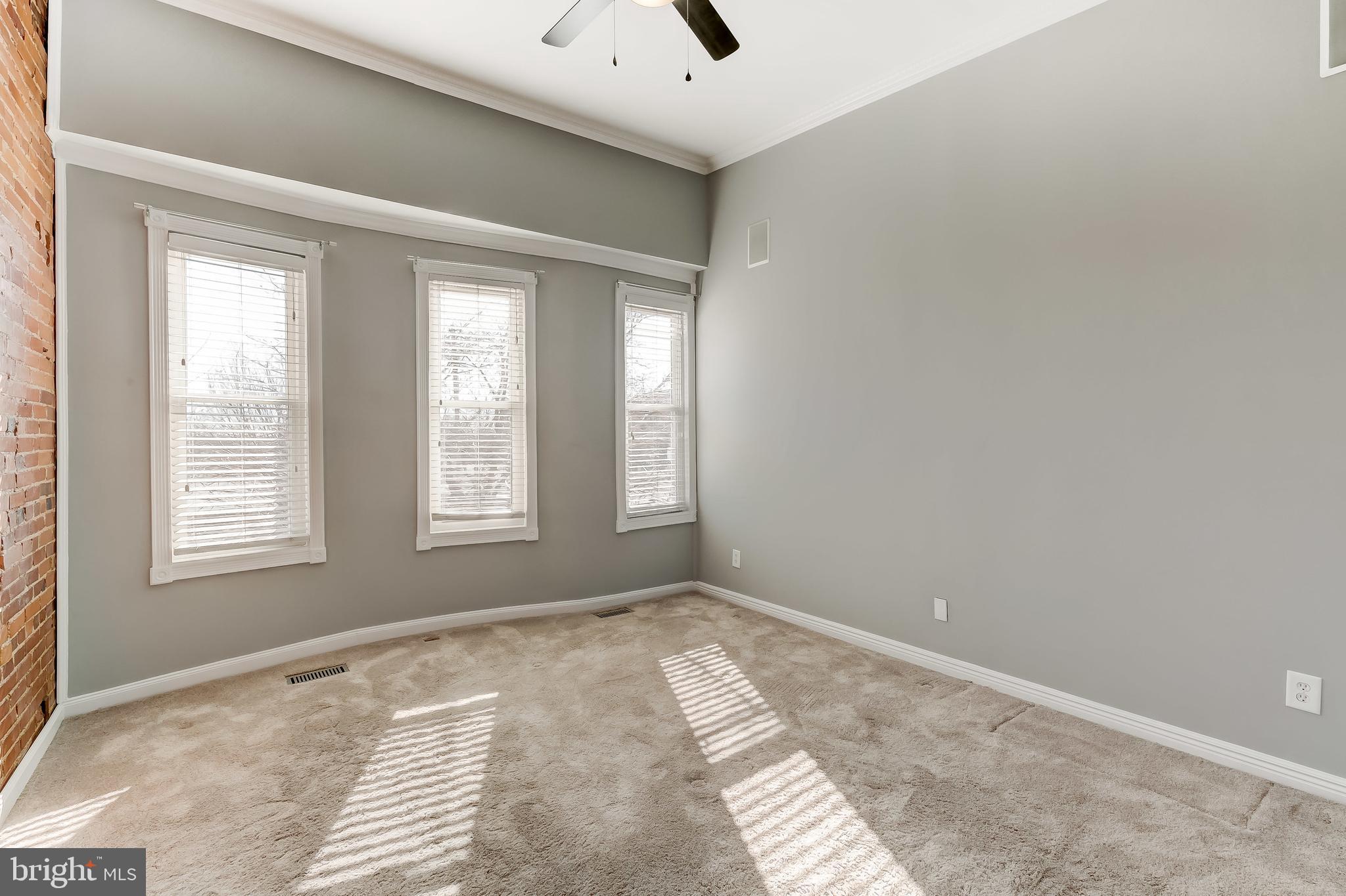 LOCUST POINT - Residential