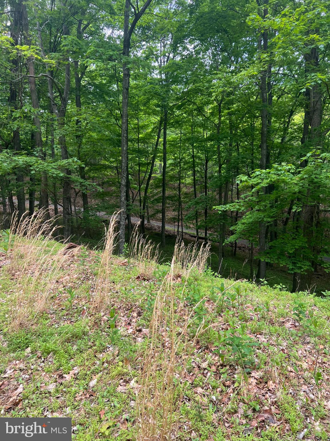 WILDLIFE HAVEN - Land