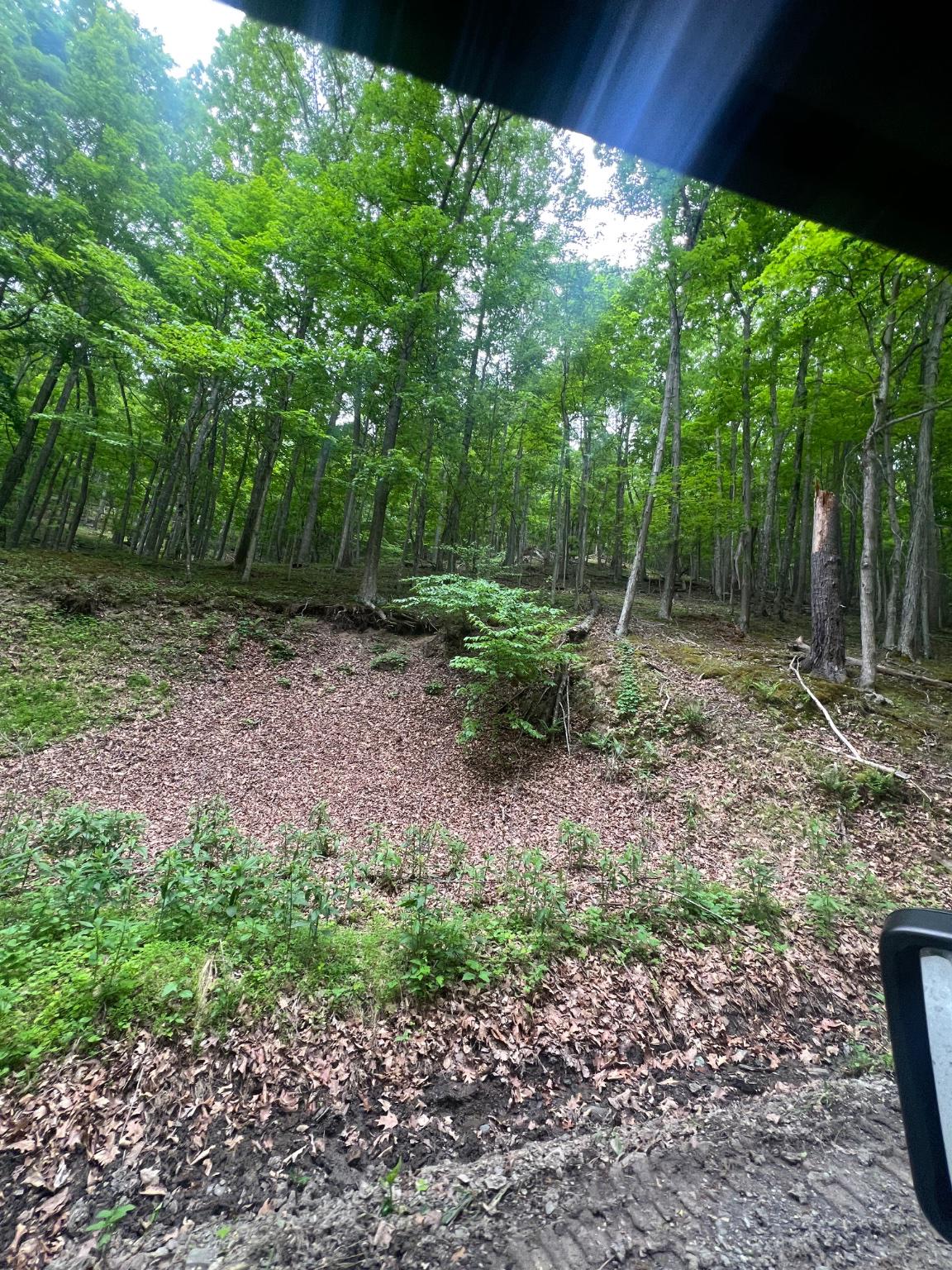 WILDLIFE HAVEN - Land