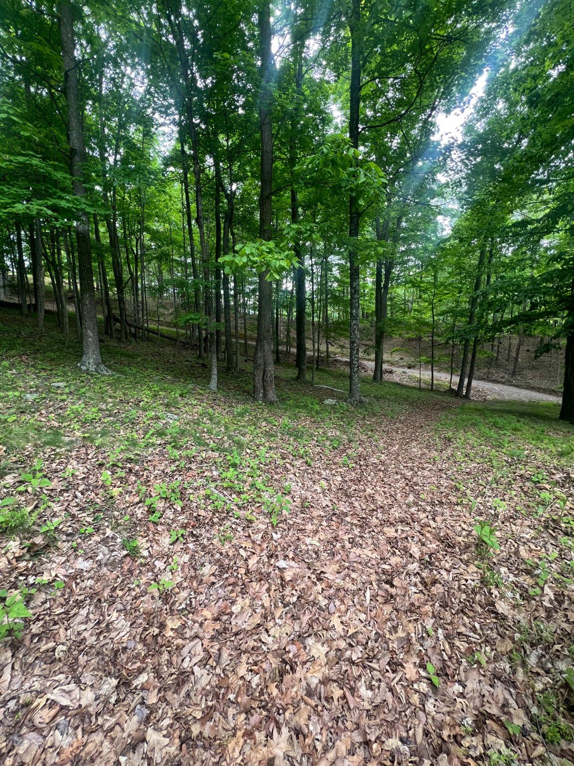 WILDLIFE HAVEN - Land