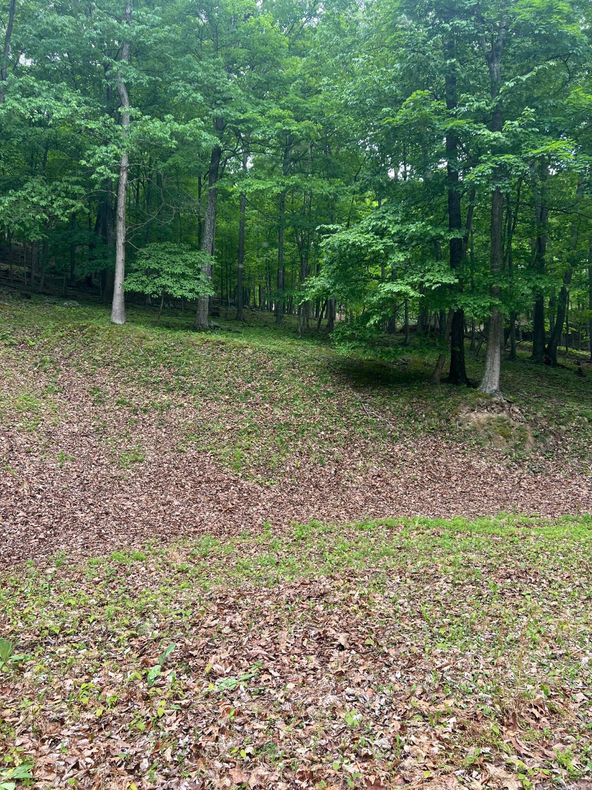 WILDLIFE HAVEN - Land