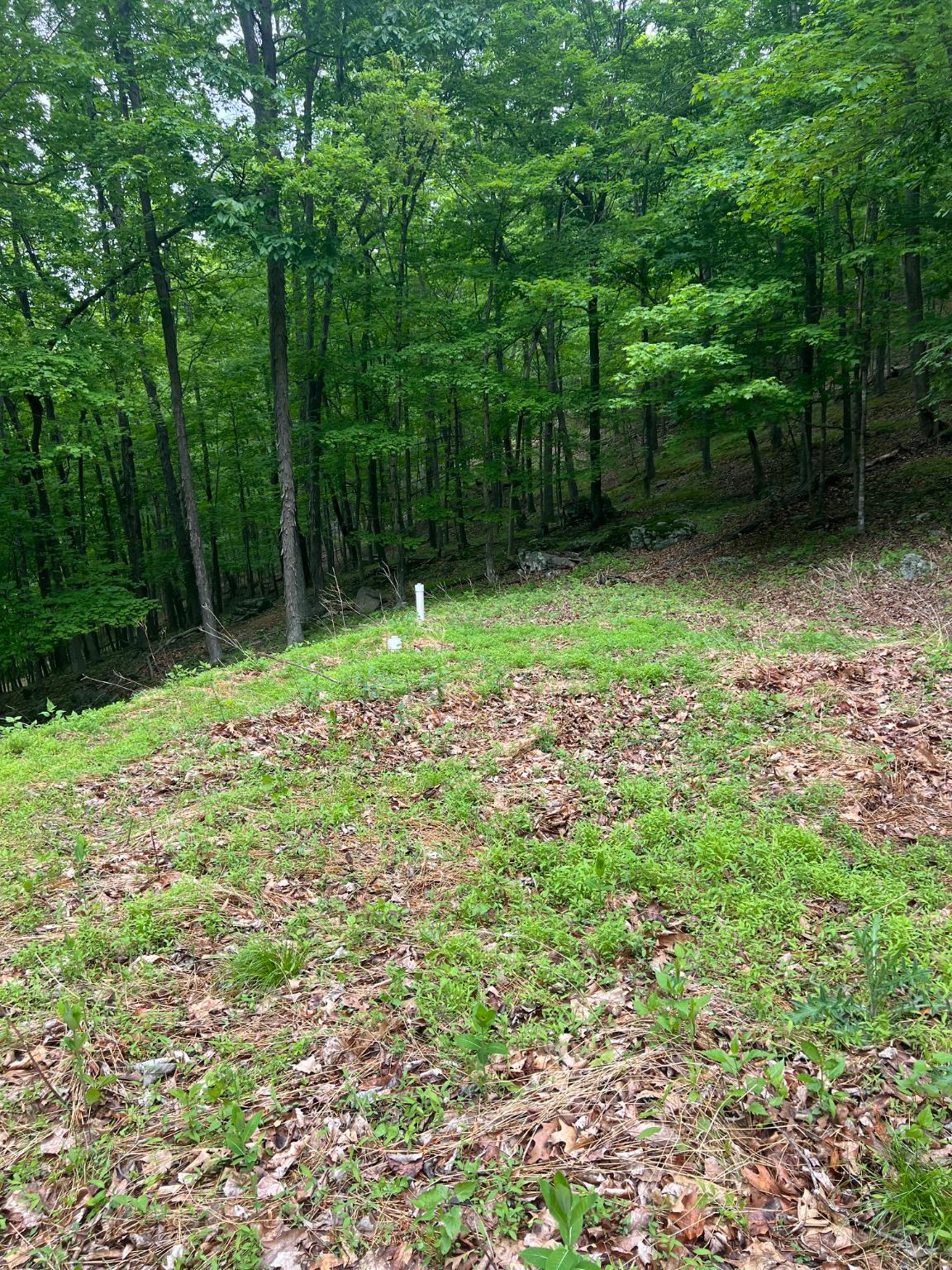 WILDLIFE HAVEN - Land