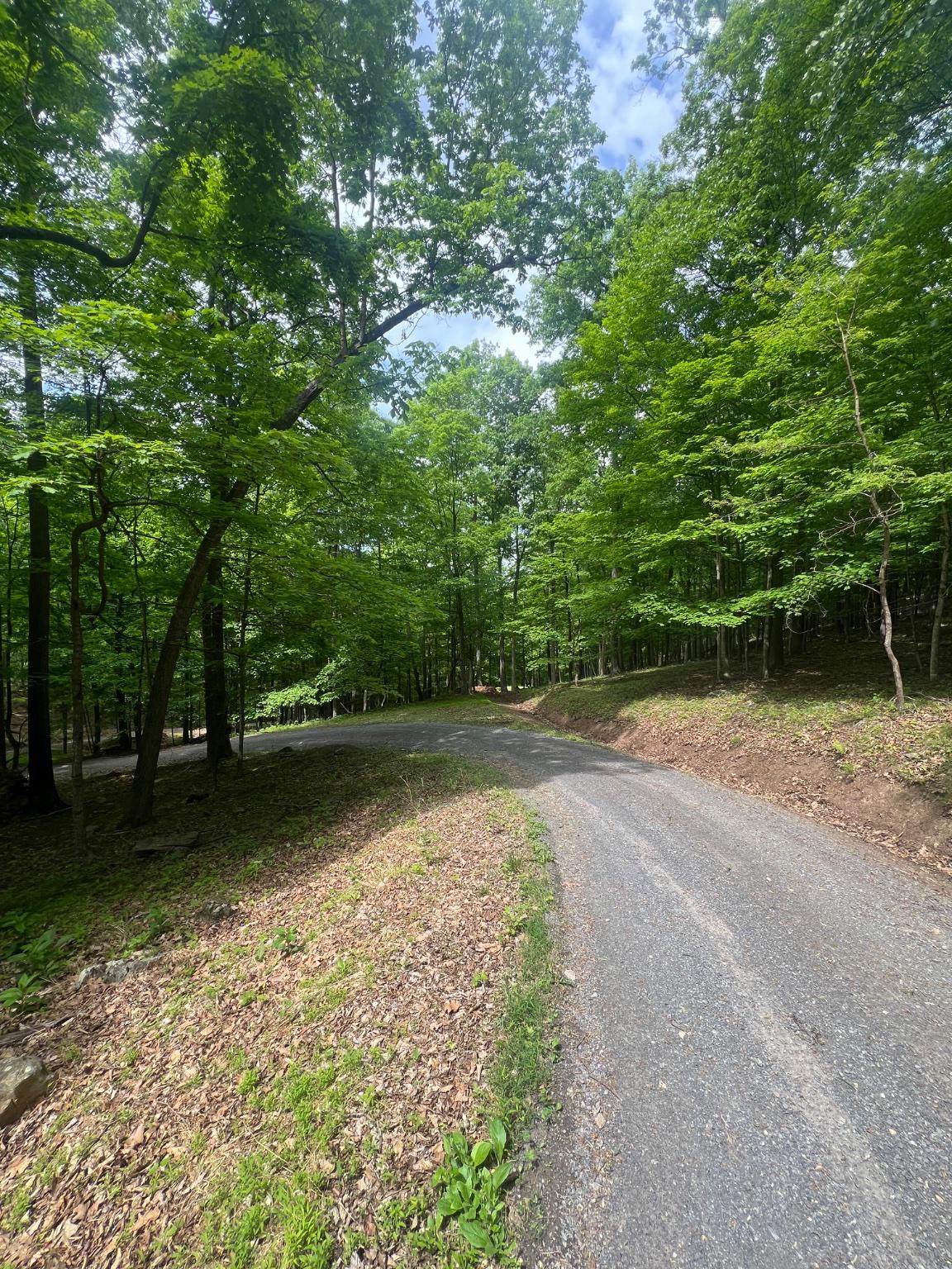 WILDLIFE HAVEN - Land
