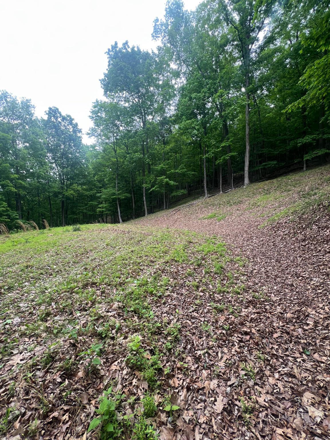 WILDLIFE HAVEN - Land