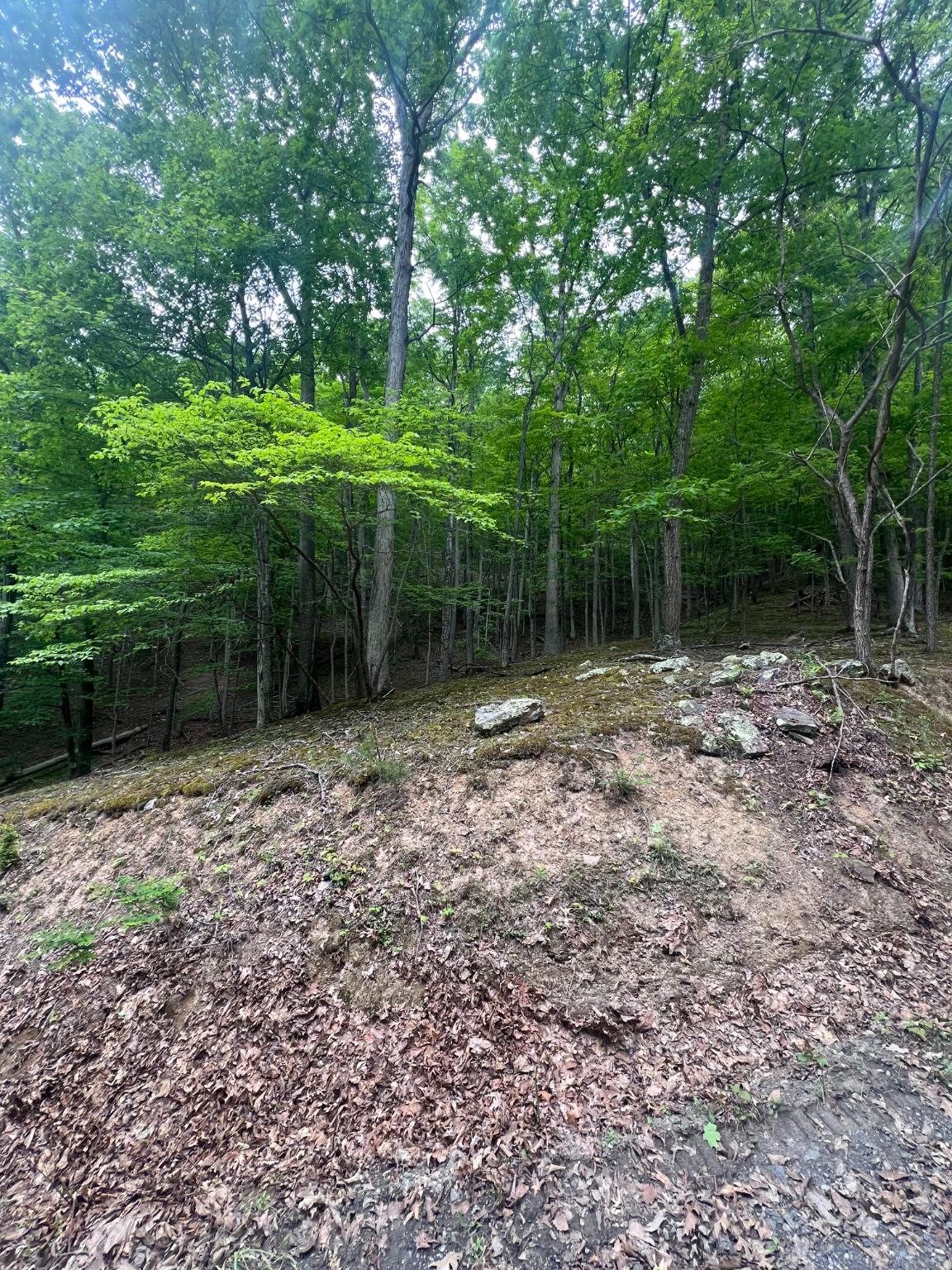 WILDLIFE HAVEN - Land