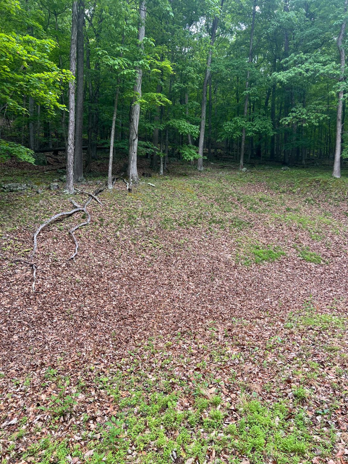 WILDLIFE HAVEN - Land