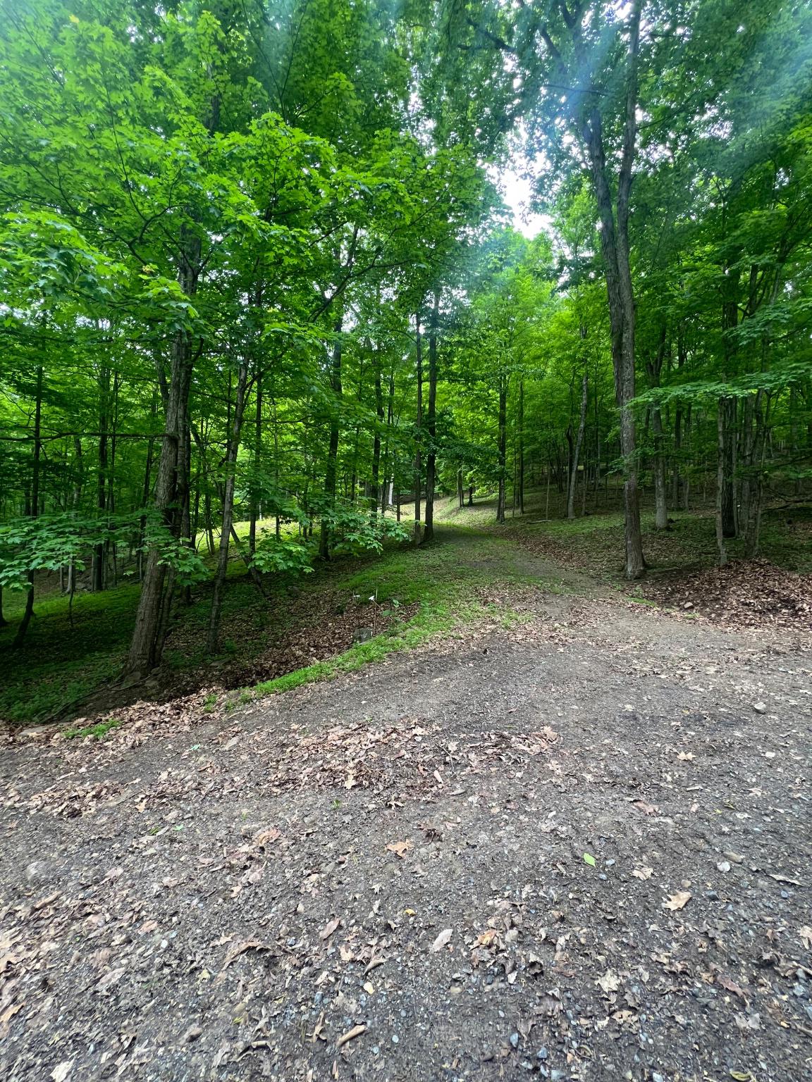 WILDLIFE HAVEN - Land