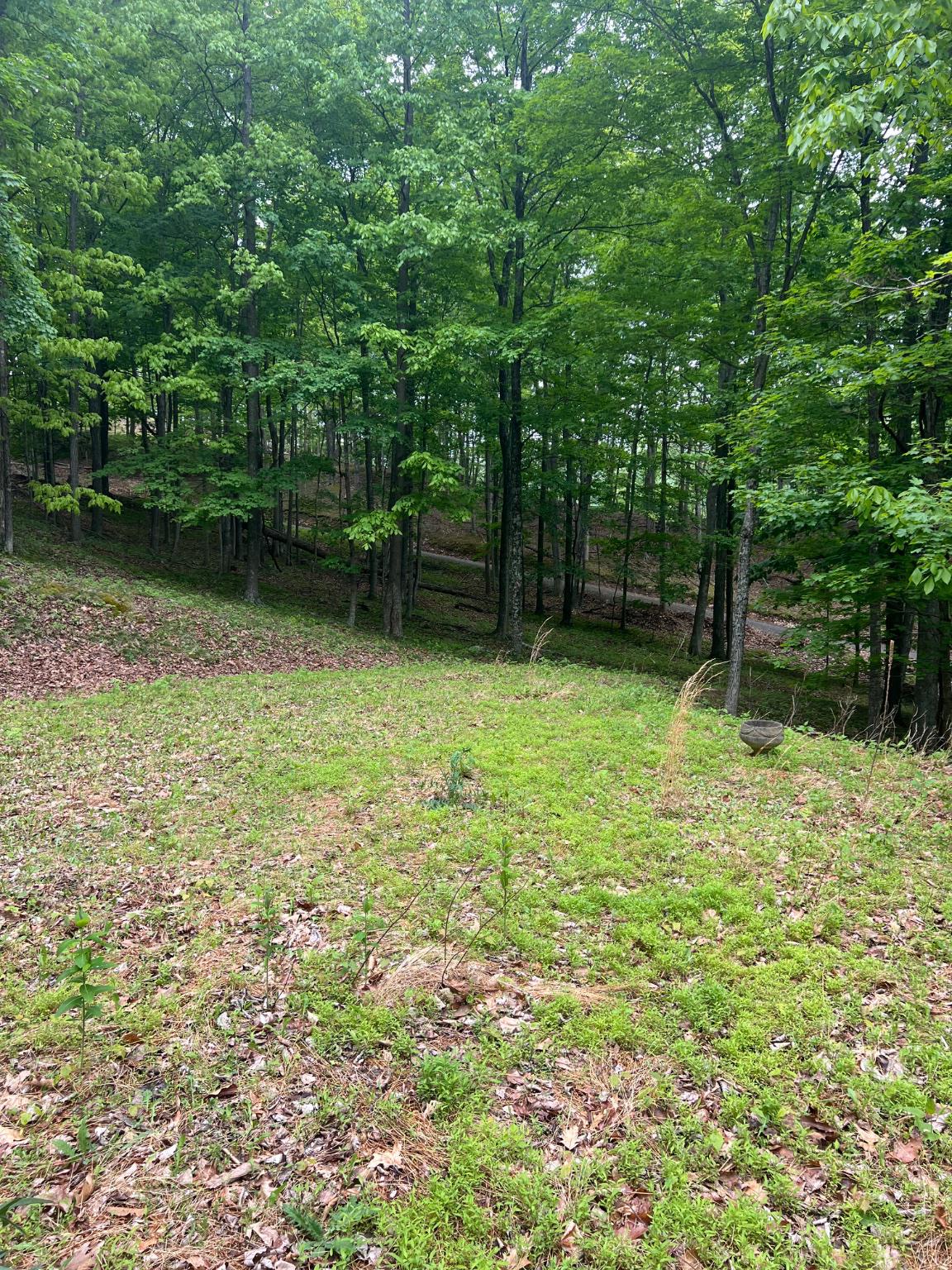 WILDLIFE HAVEN - Land