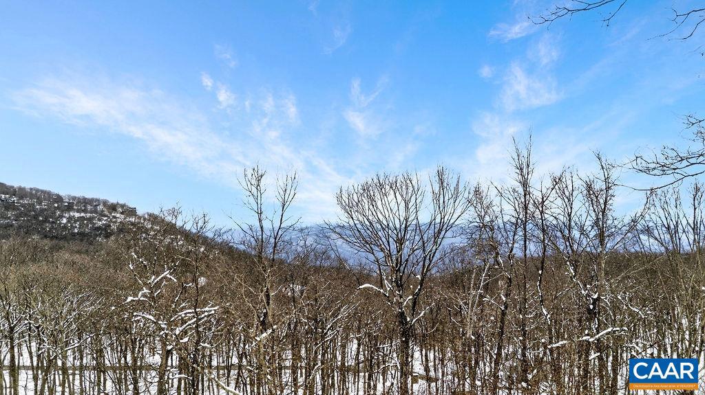 WINTERGREEN RESORT - Residential