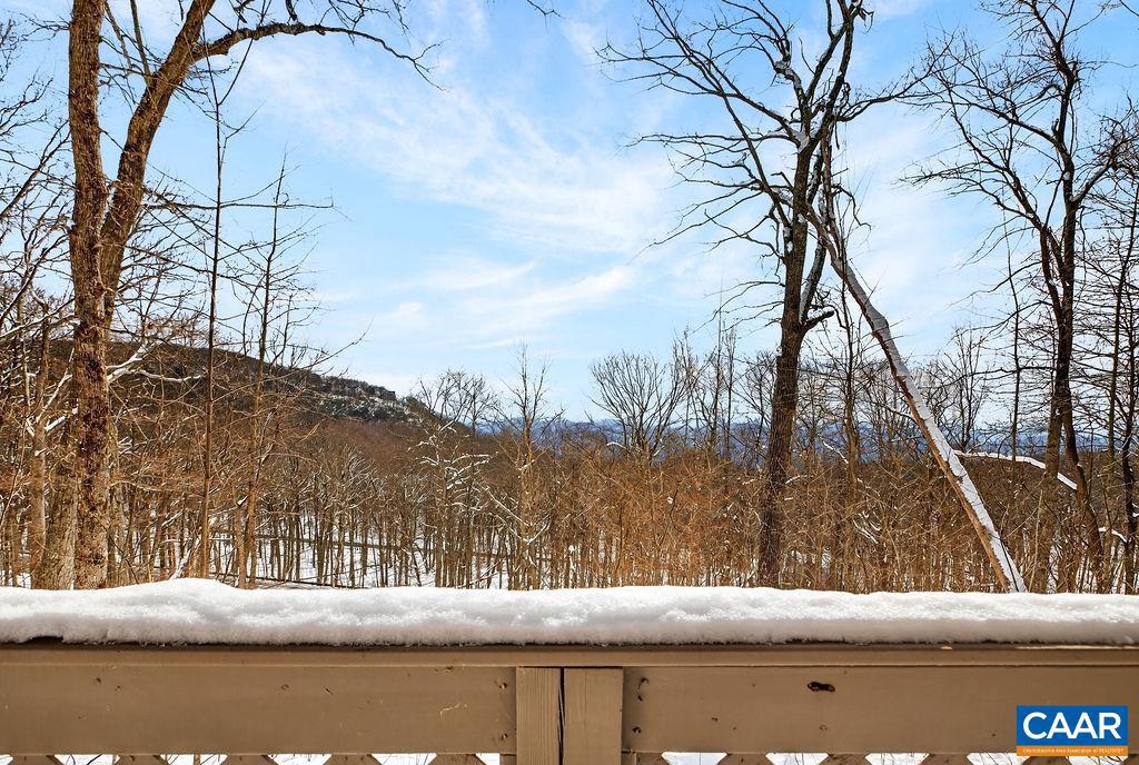 WINTERGREEN RESORT - Residential