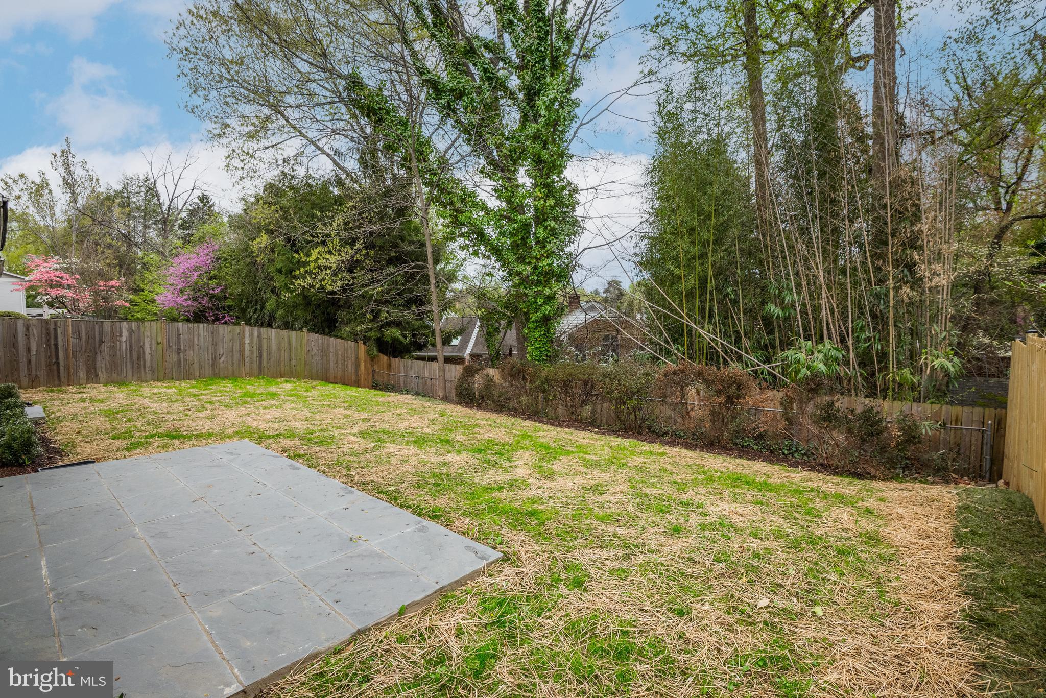 COUNTRY CLUB FOREST - Residential