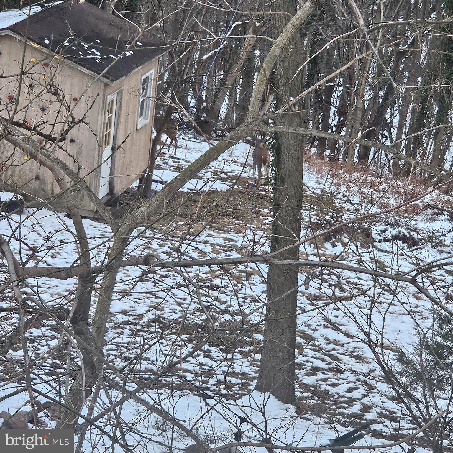 BOLIVAR - Residential