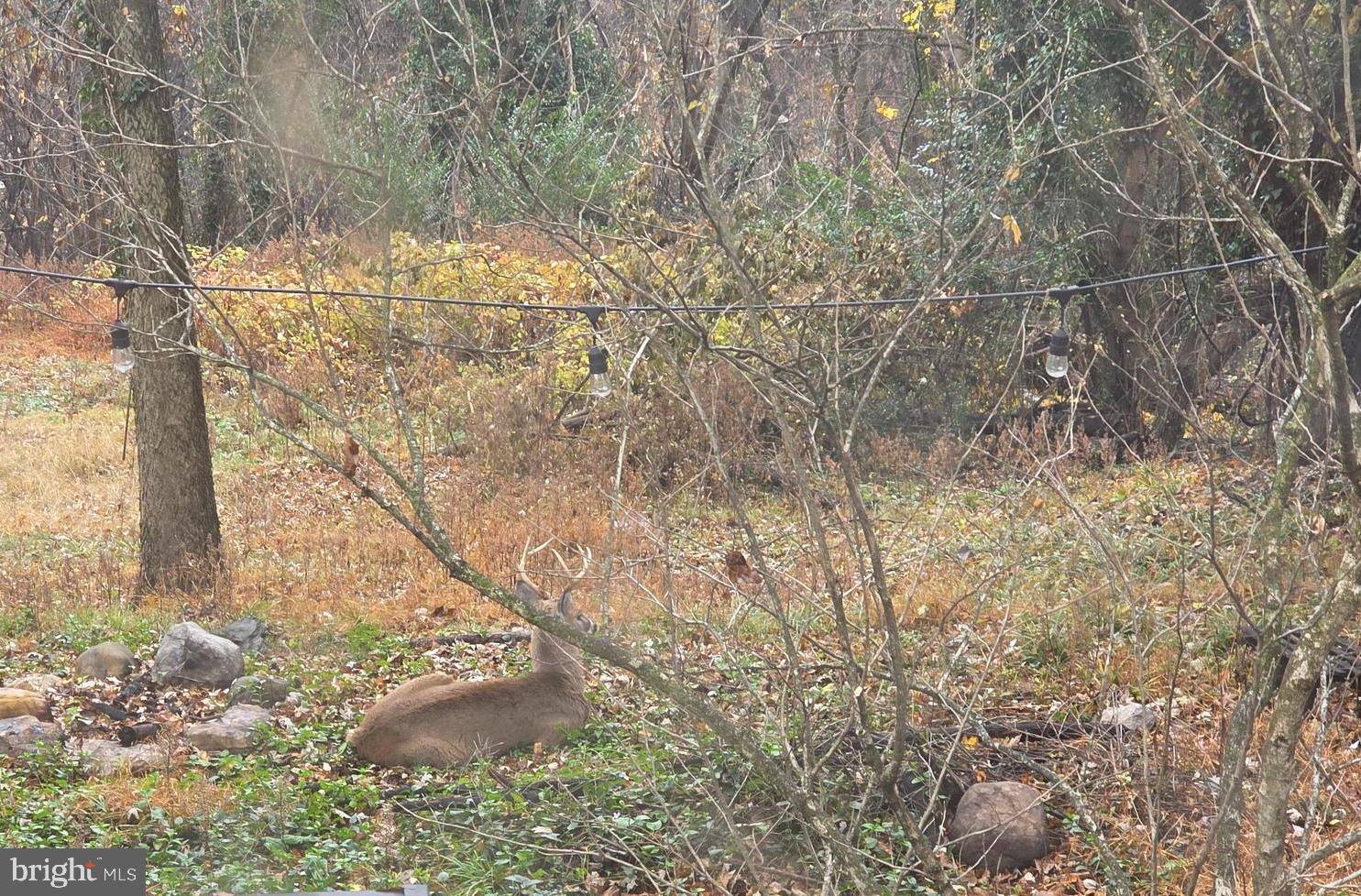 BOLIVAR - Residential