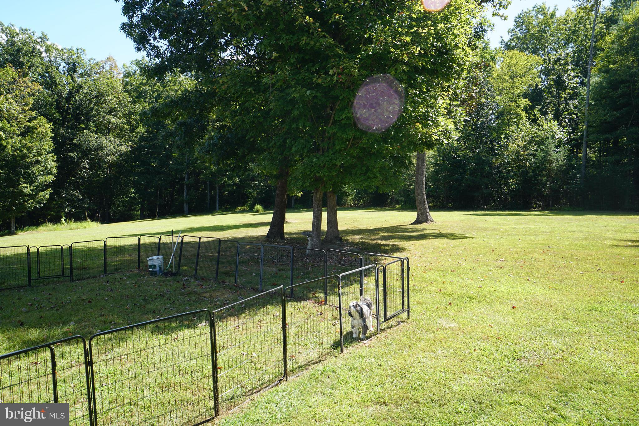 BRANDYWINE - Residential