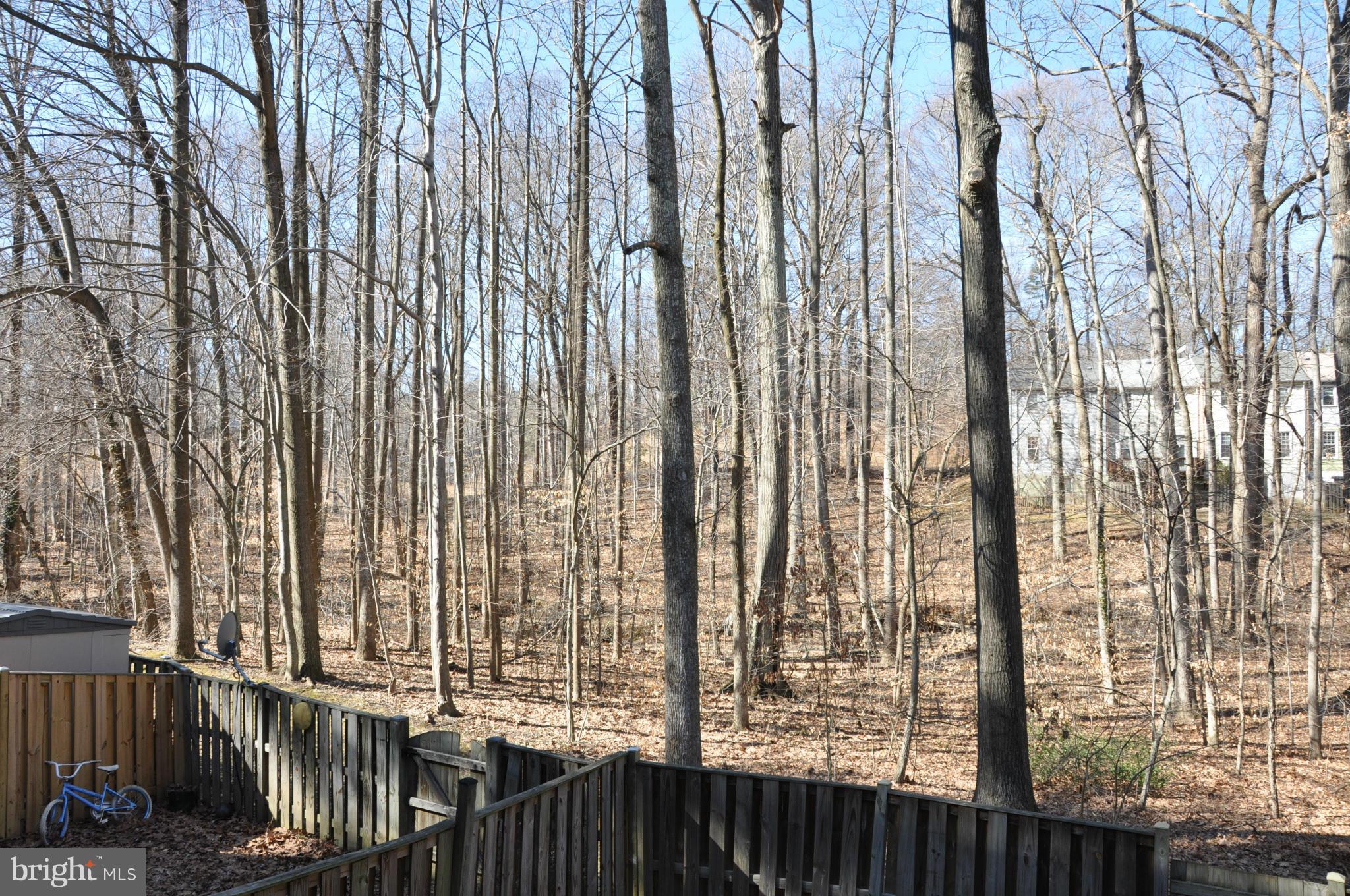 DANBURY FOREST - Residential Lease