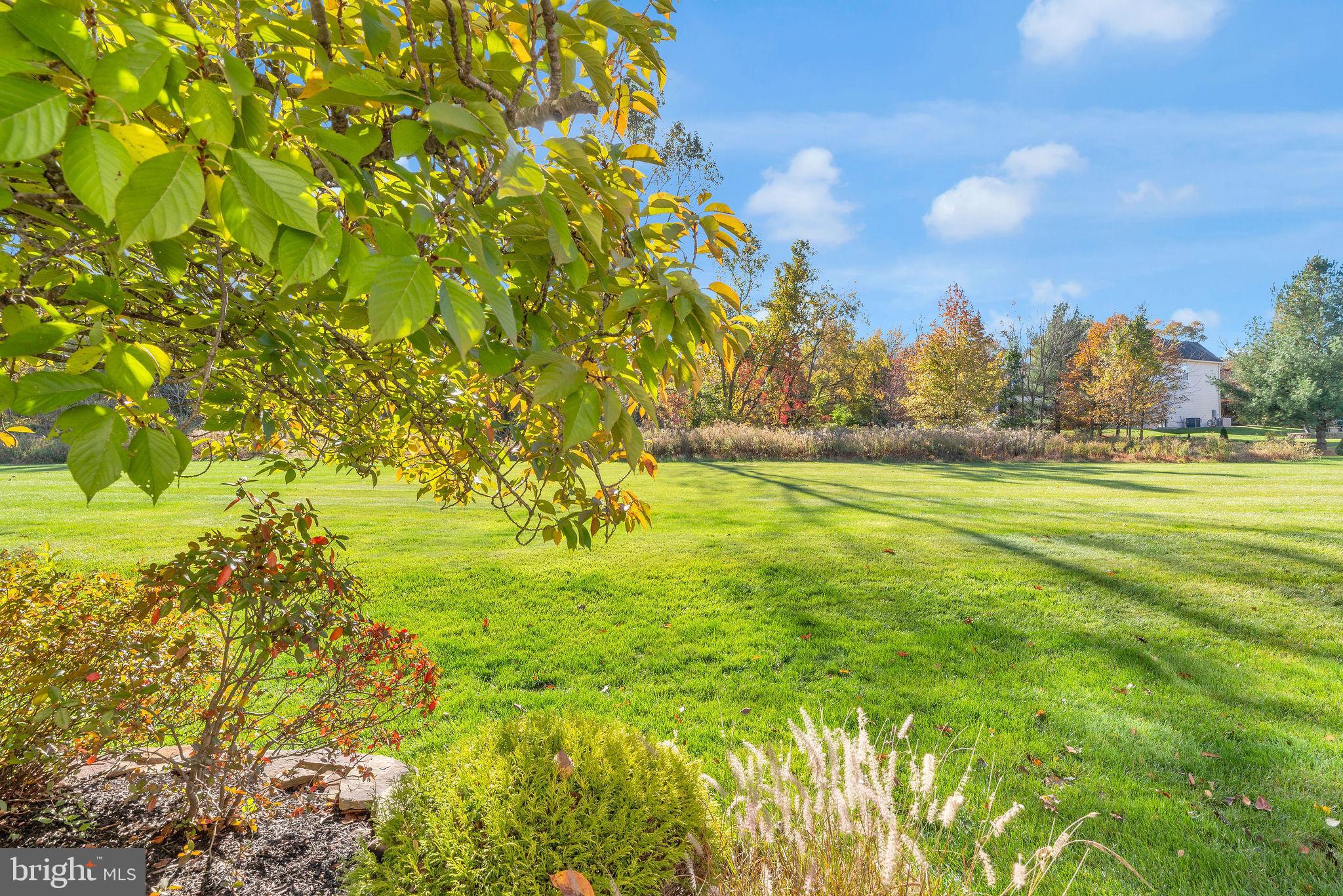 THE RIDINGS OF BUCK - Residential