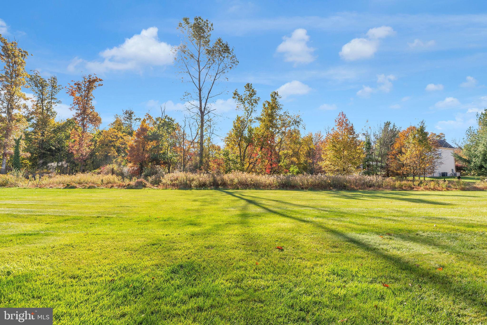 THE RIDINGS OF BUCK - Residential