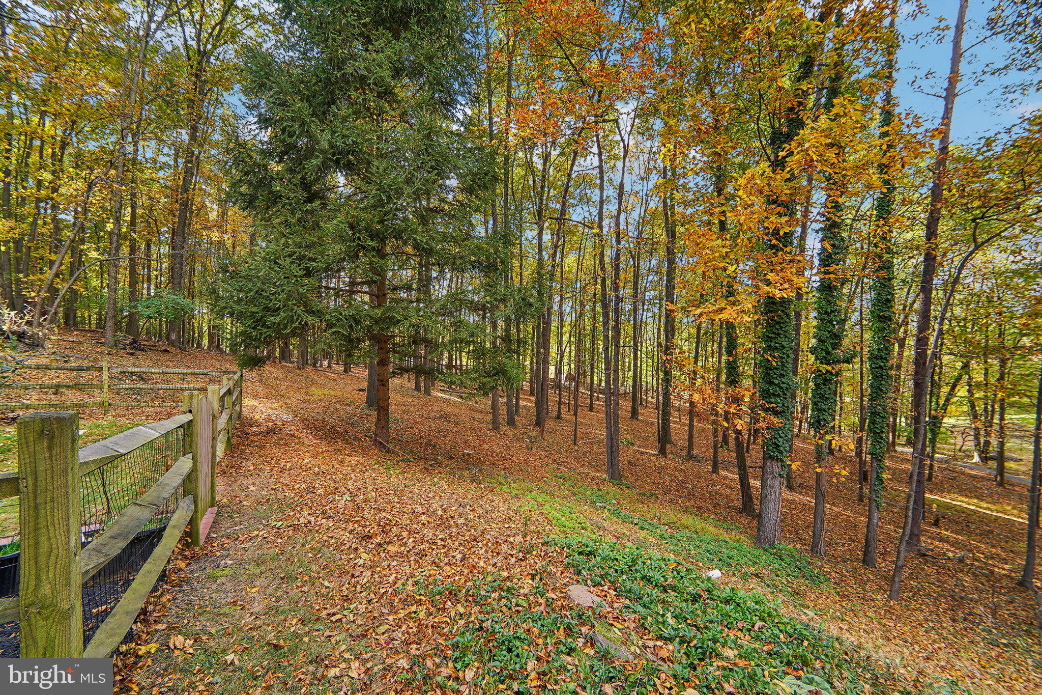 MILL BOTTOM - Residential