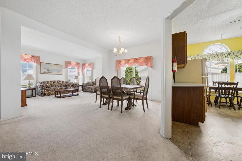 84 CHAIN BOULEVARD