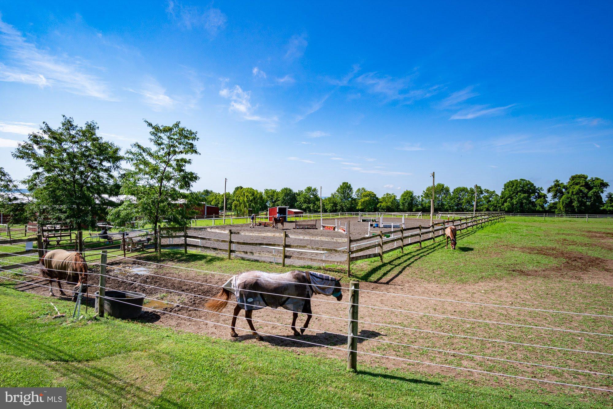 NONE  AVAILABLE - Farm