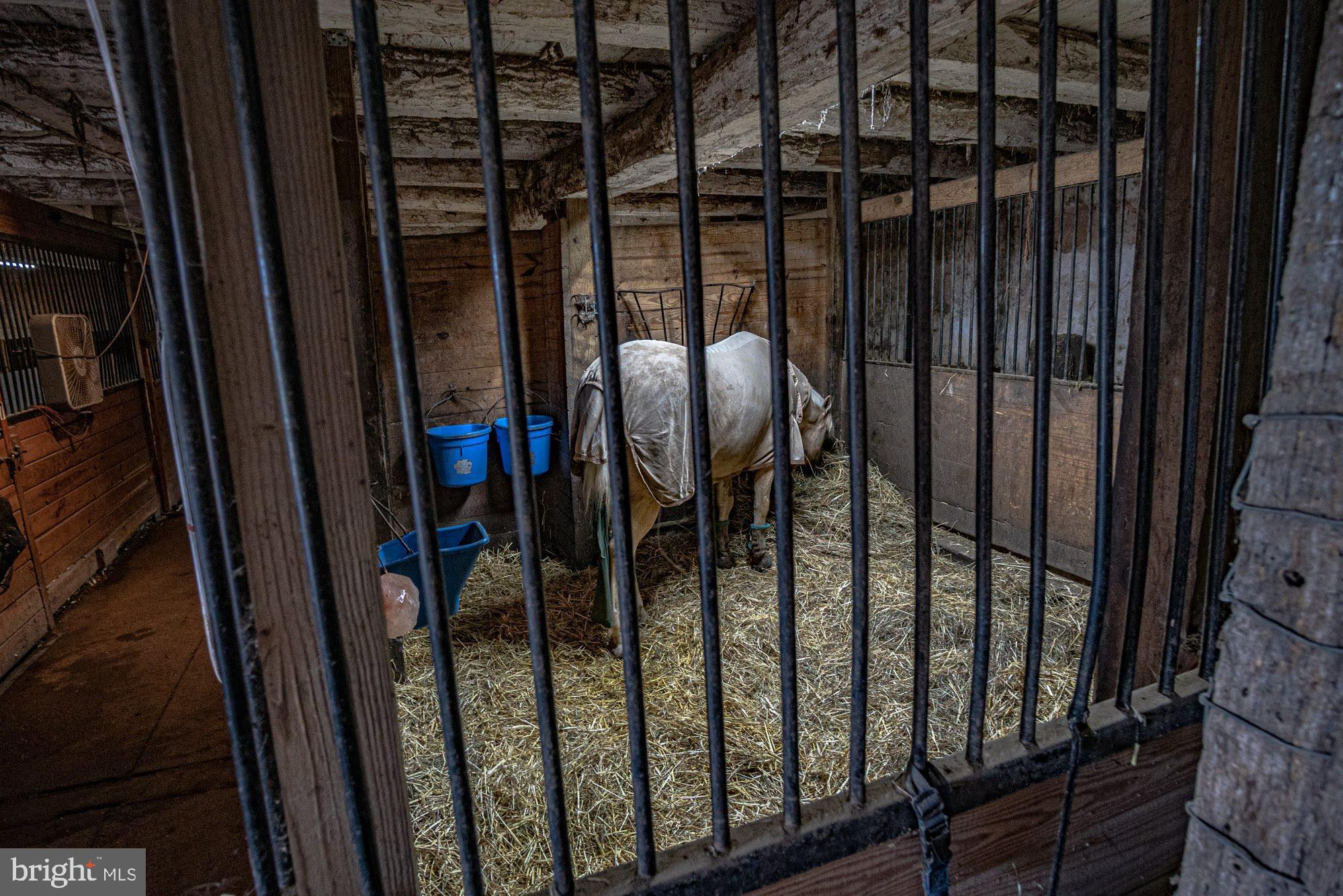 NONE  AVAILABLE - Farm