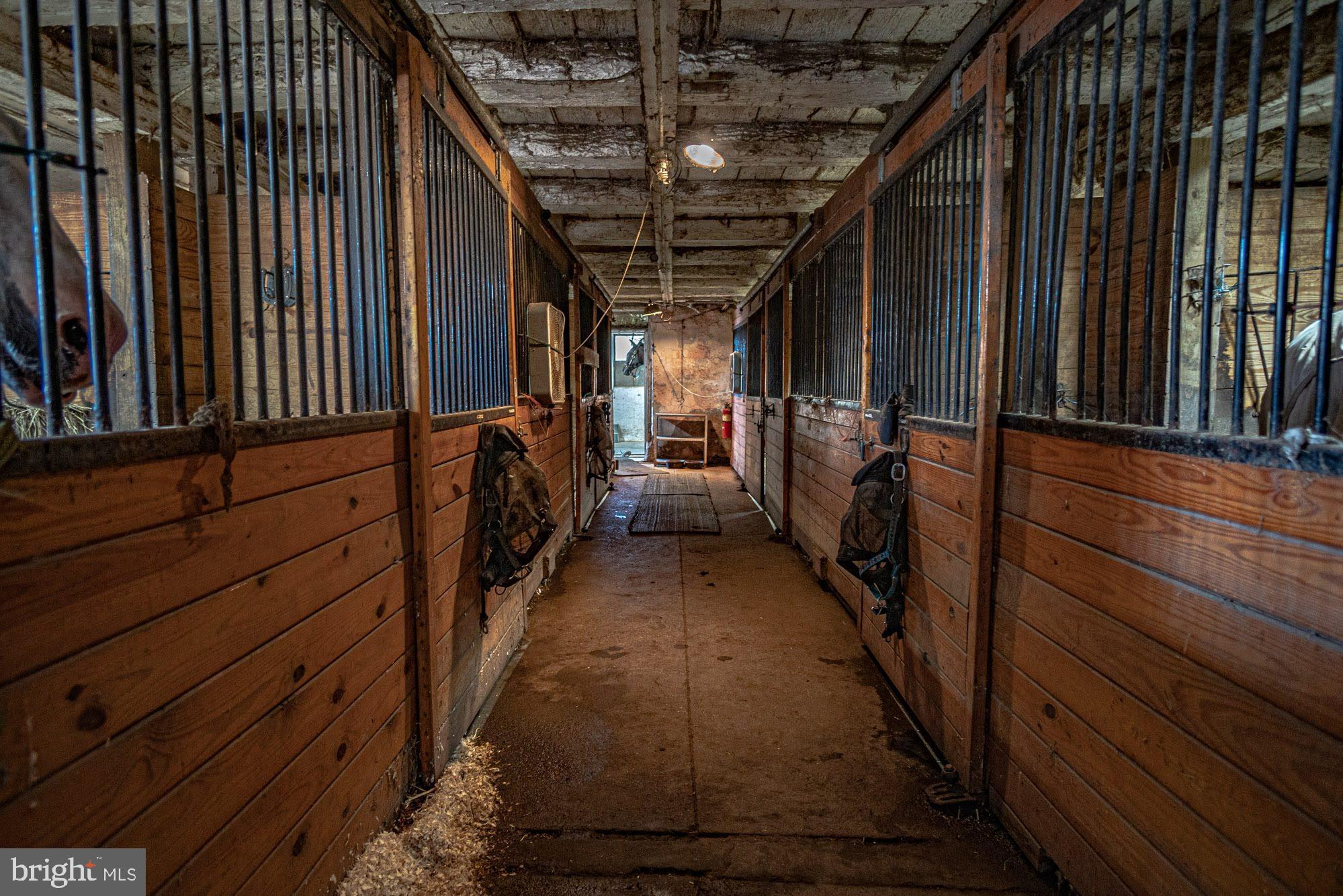 NONE  AVAILABLE - Farm