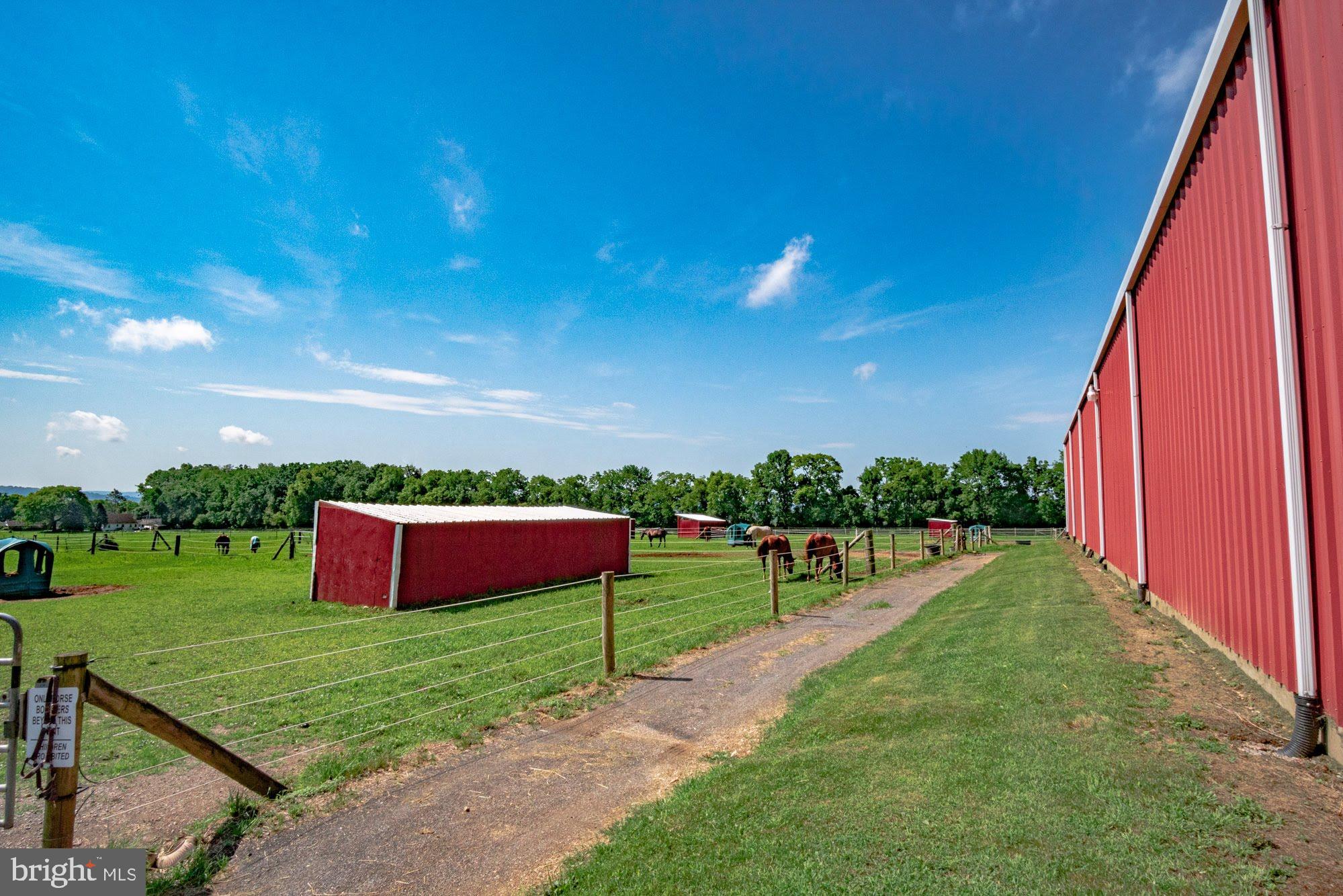 NONE  AVAILABLE - Farm