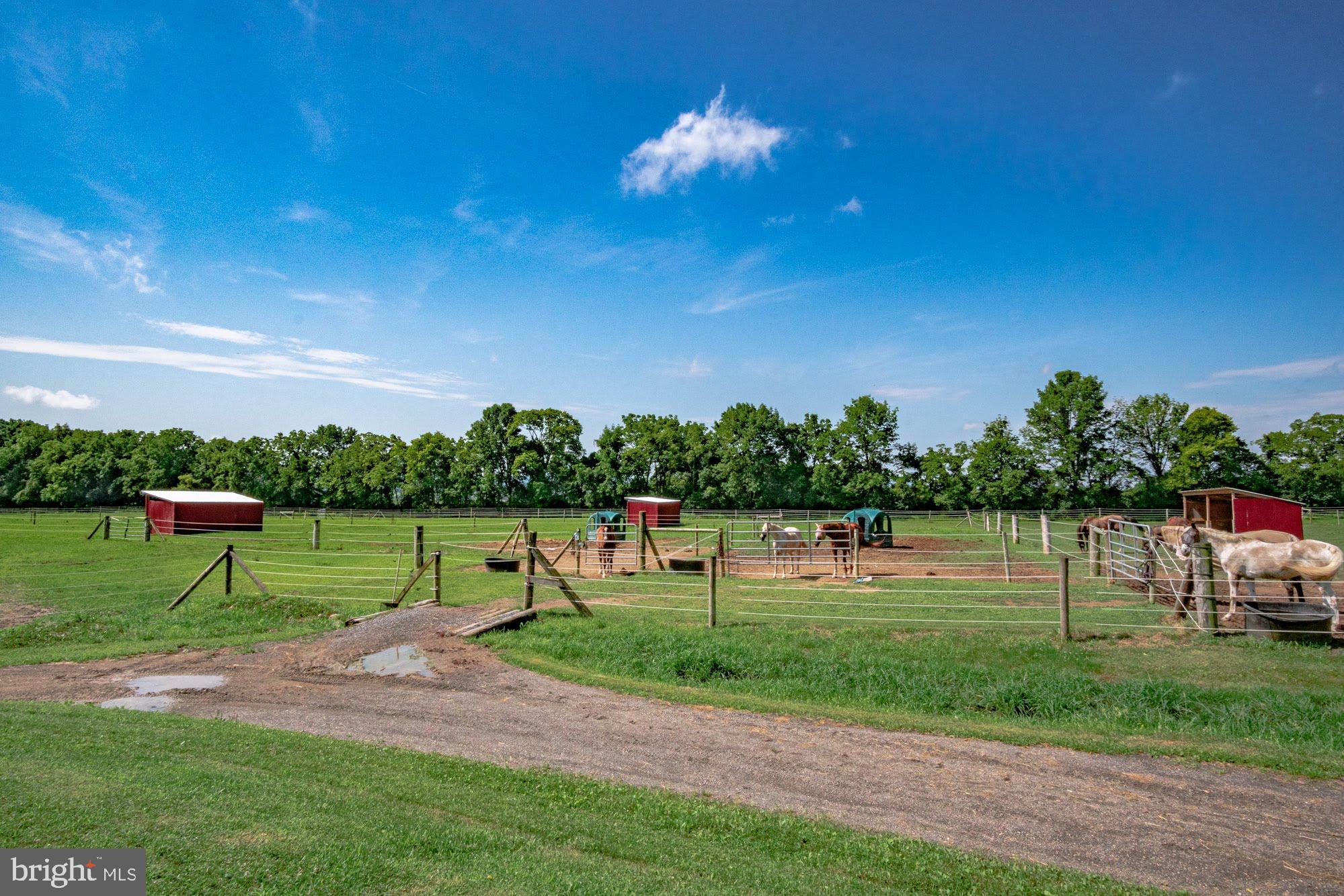 NONE  AVAILABLE - Farm