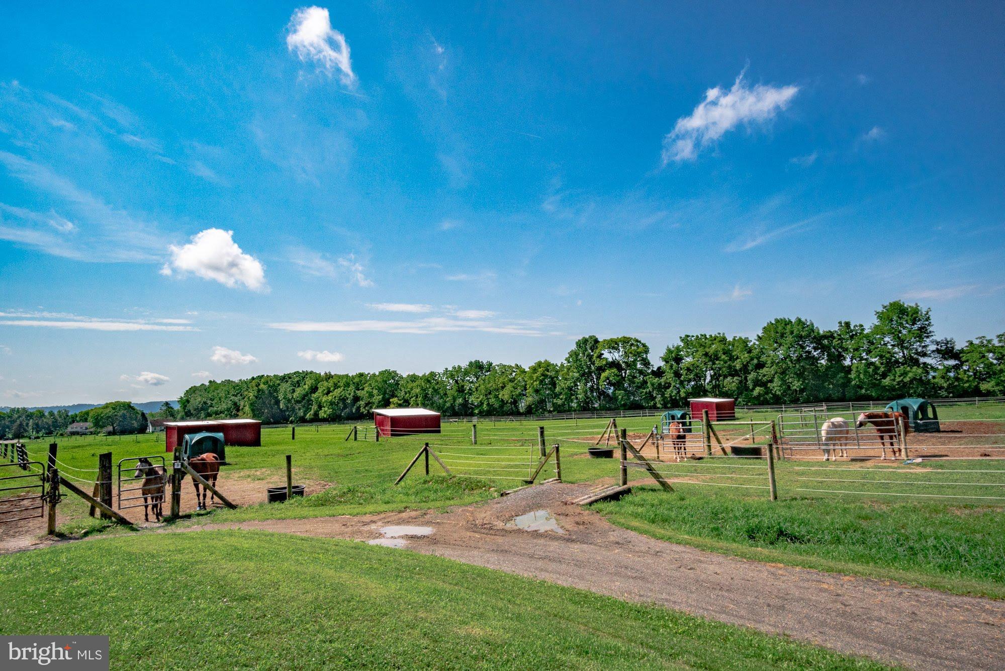 NONE  AVAILABLE - Farm