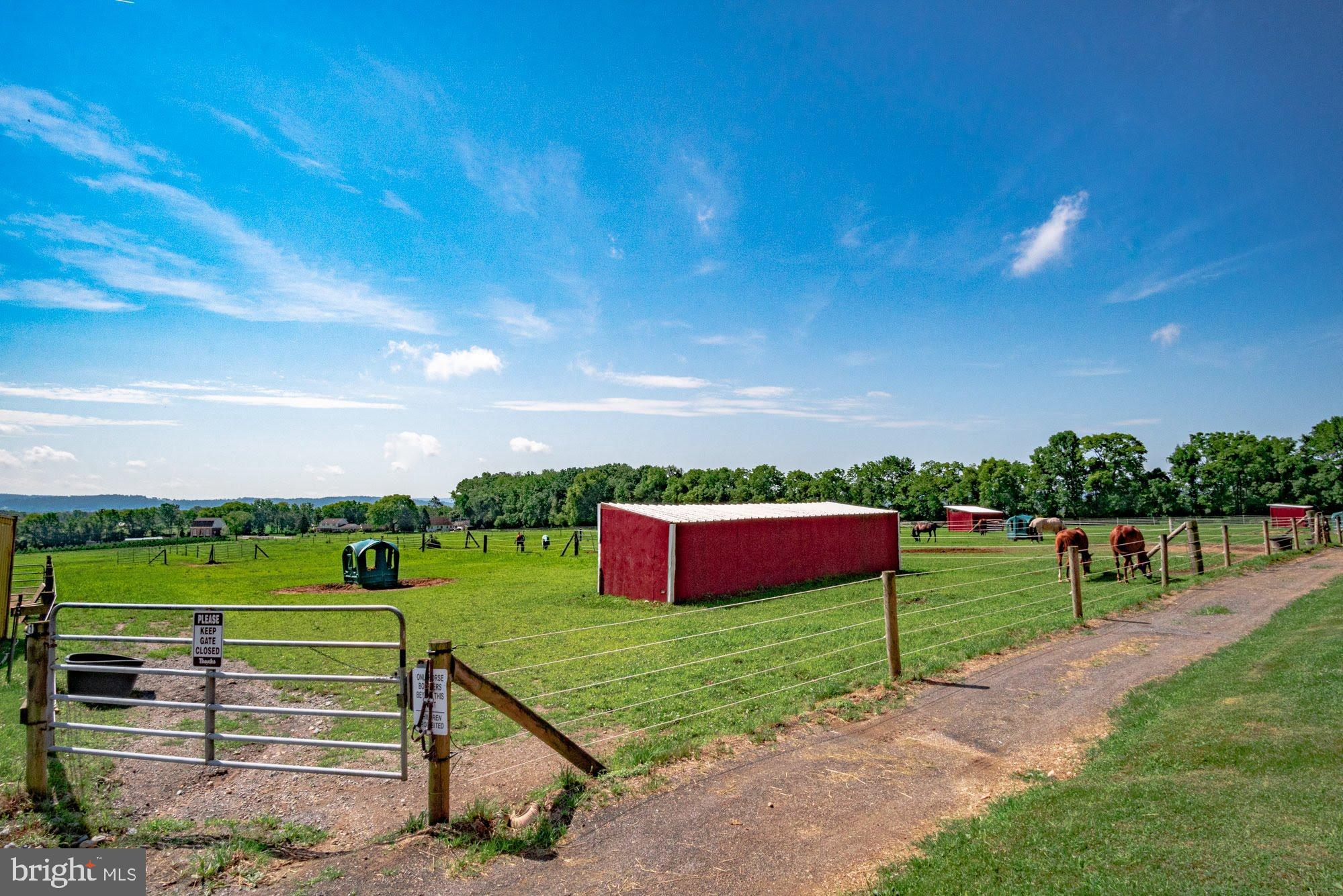 NONE  AVAILABLE - Farm