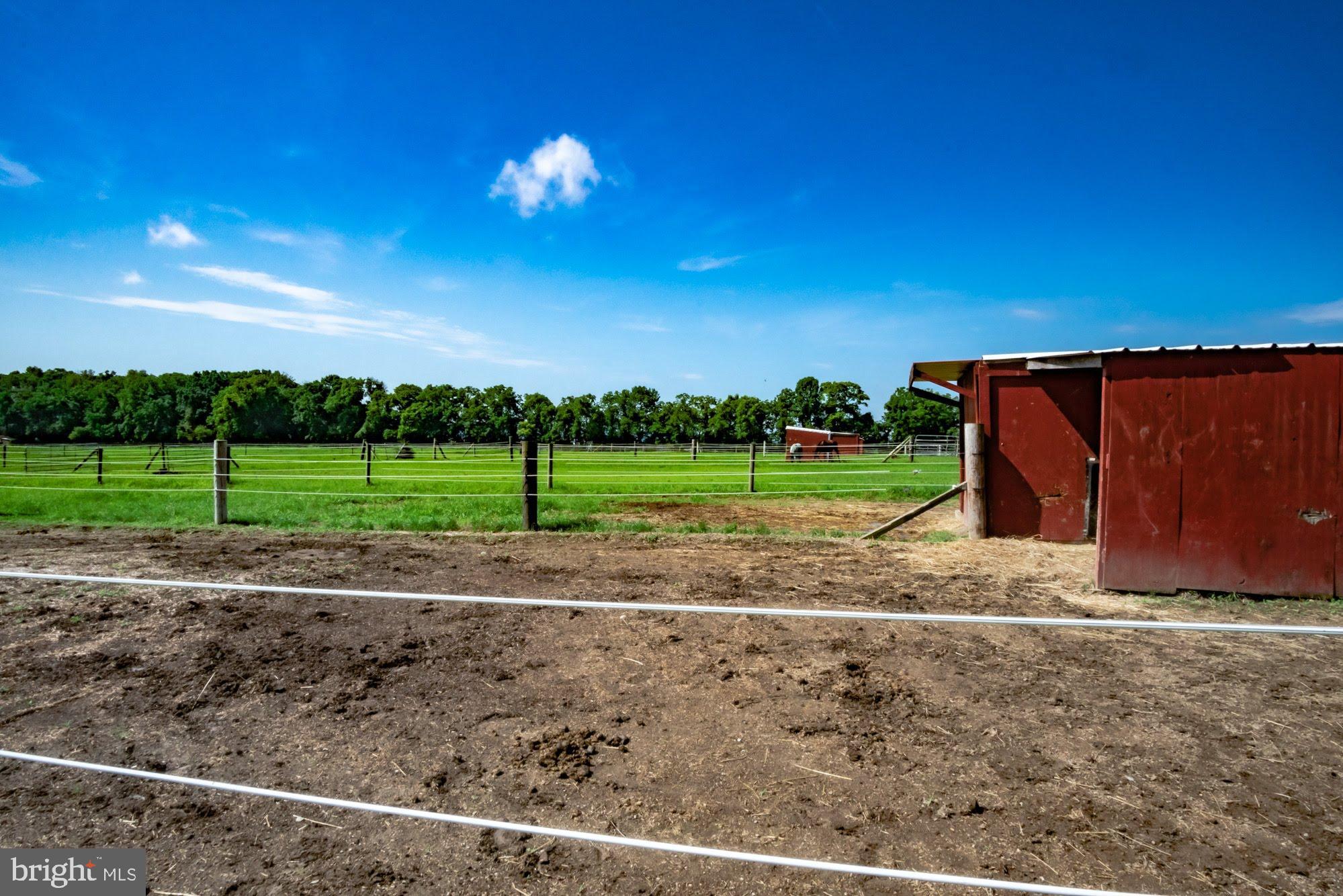 NONE  AVAILABLE - Farm