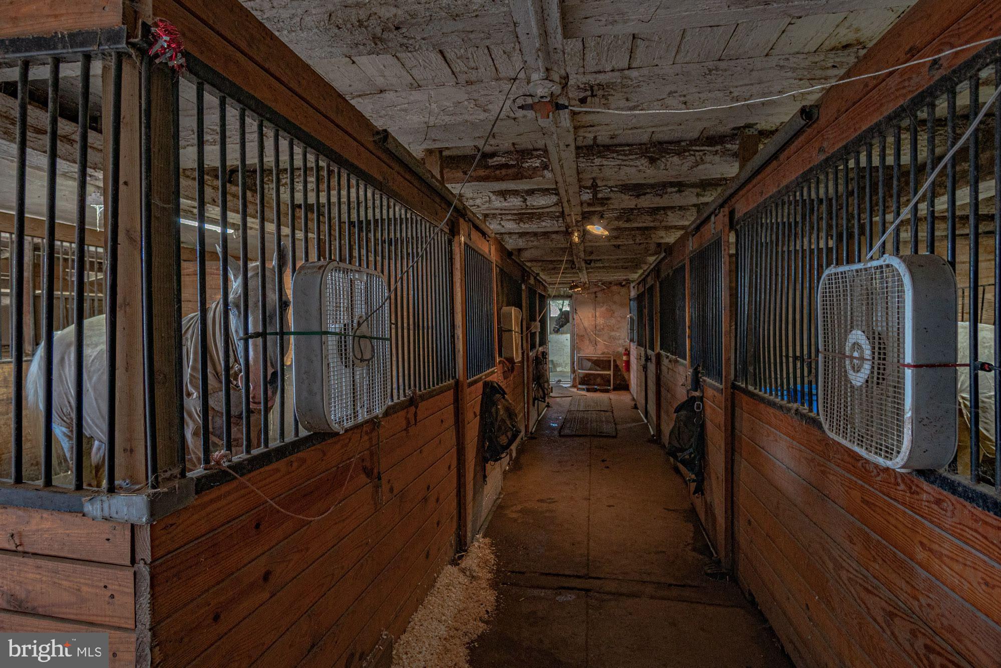 NONE  AVAILABLE - Farm