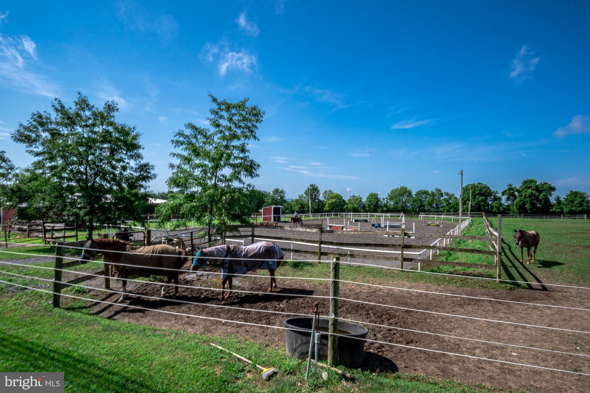 NONE  AVAILABLE - Farm