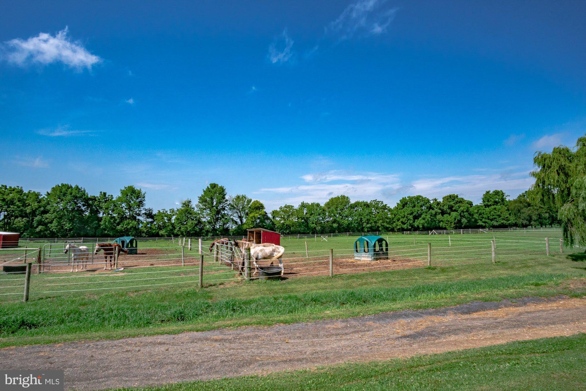 NONE  AVAILABLE - Farm