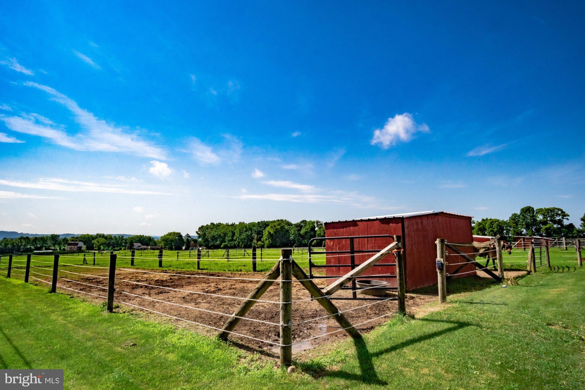 NONE  AVAILABLE - Farm