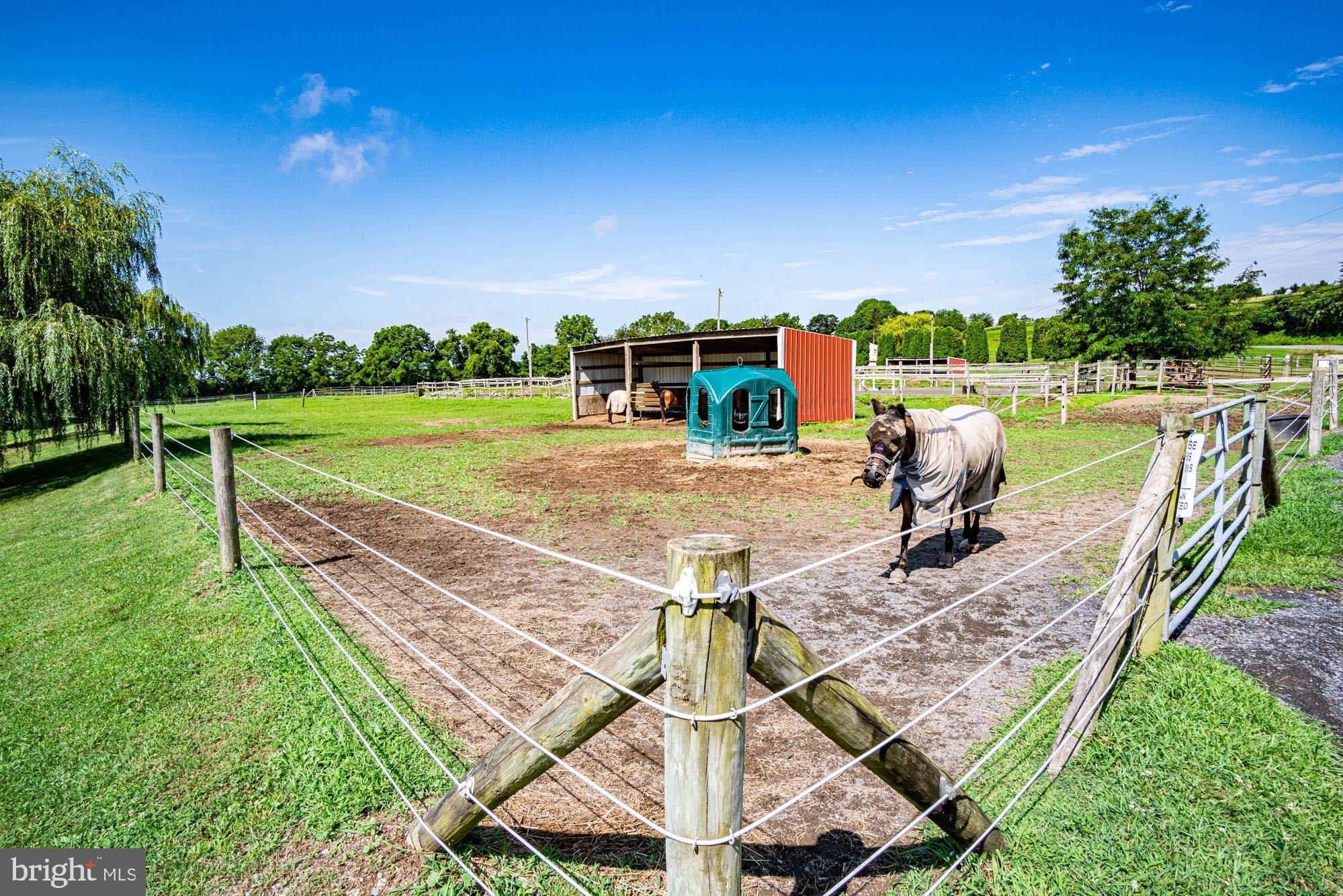 NONE  AVAILABLE - Farm