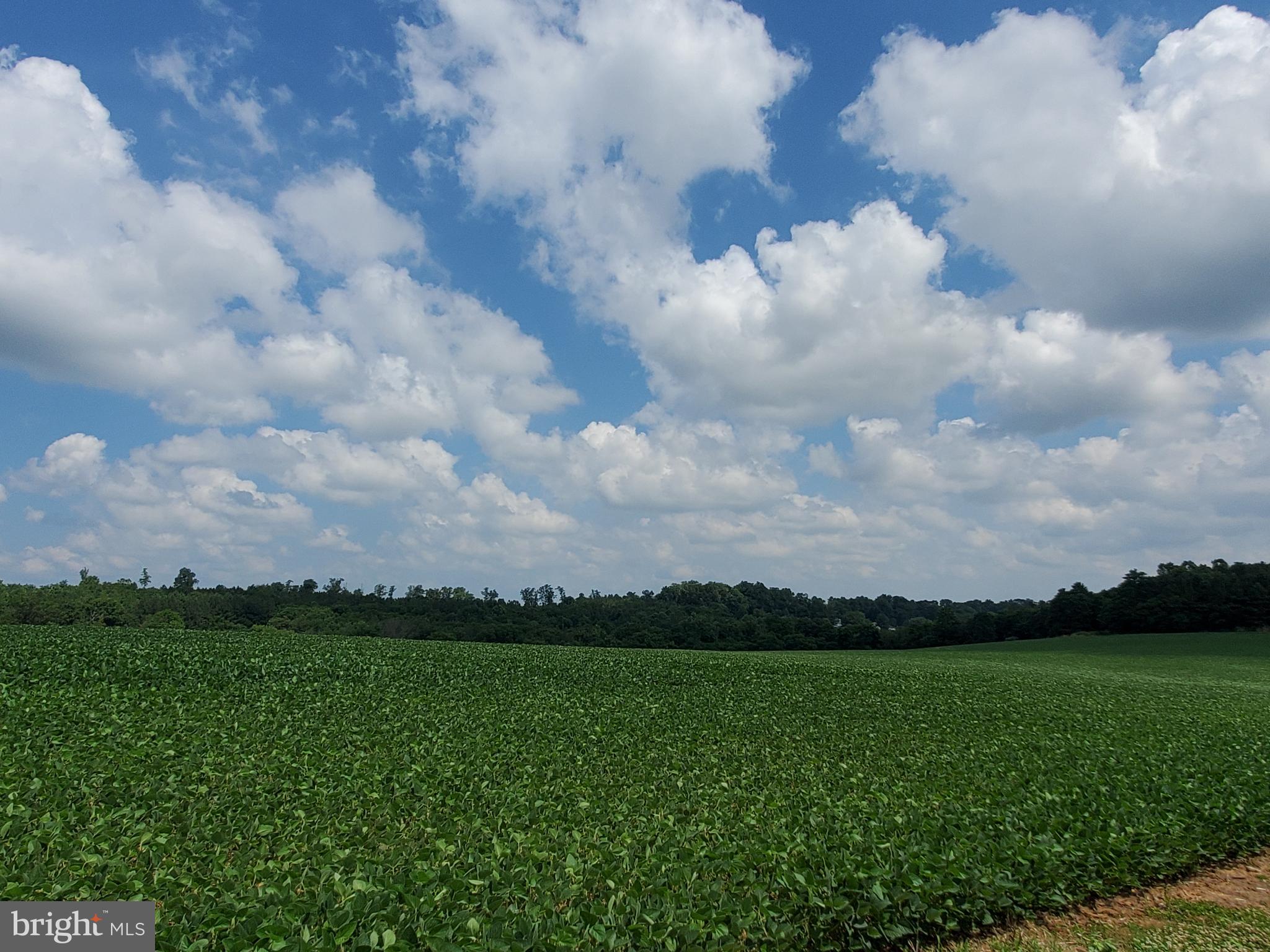 HICKORY HEIGHTS GOLF CLUB - Residential