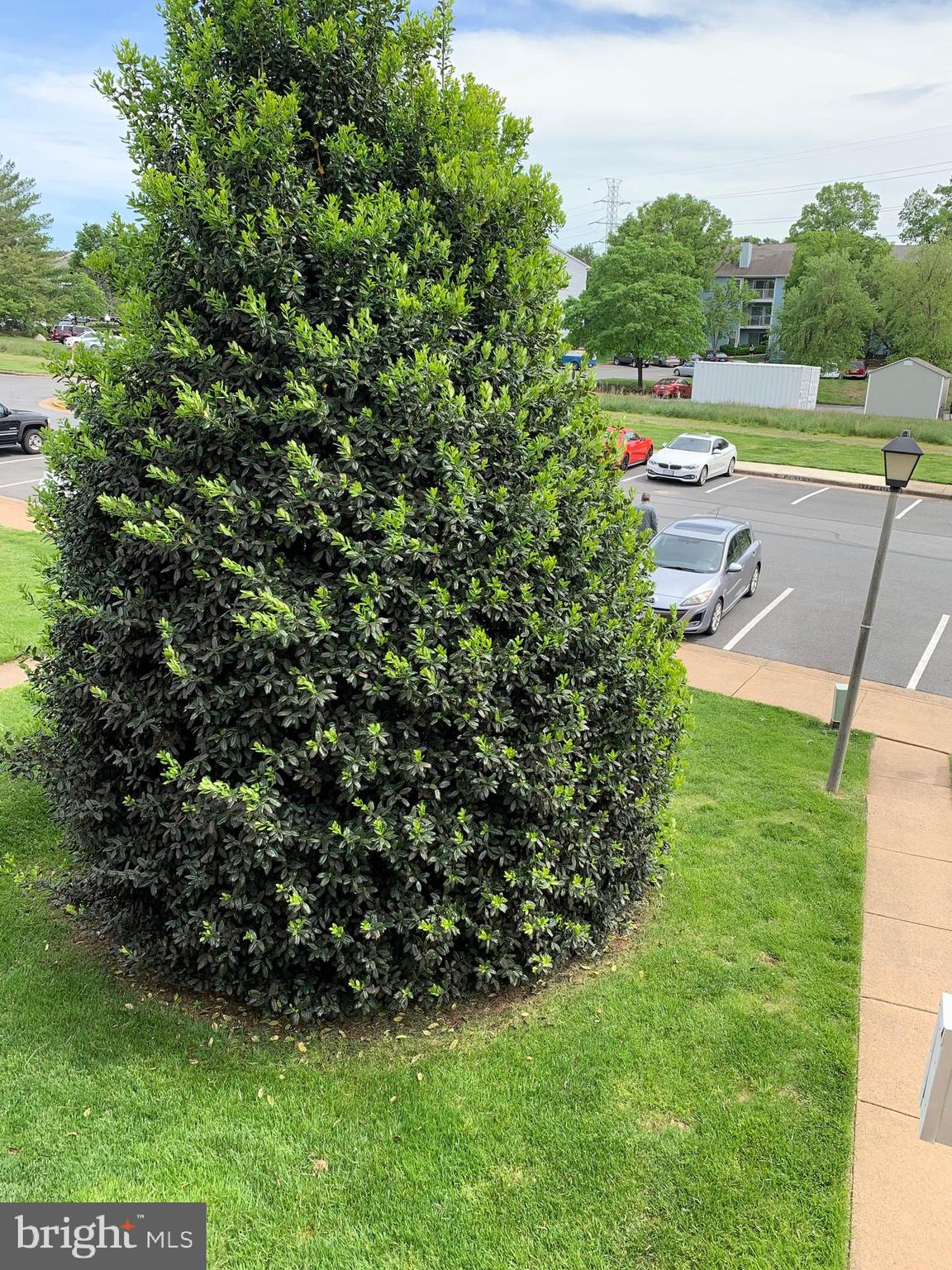 NEWBERRY - Residential