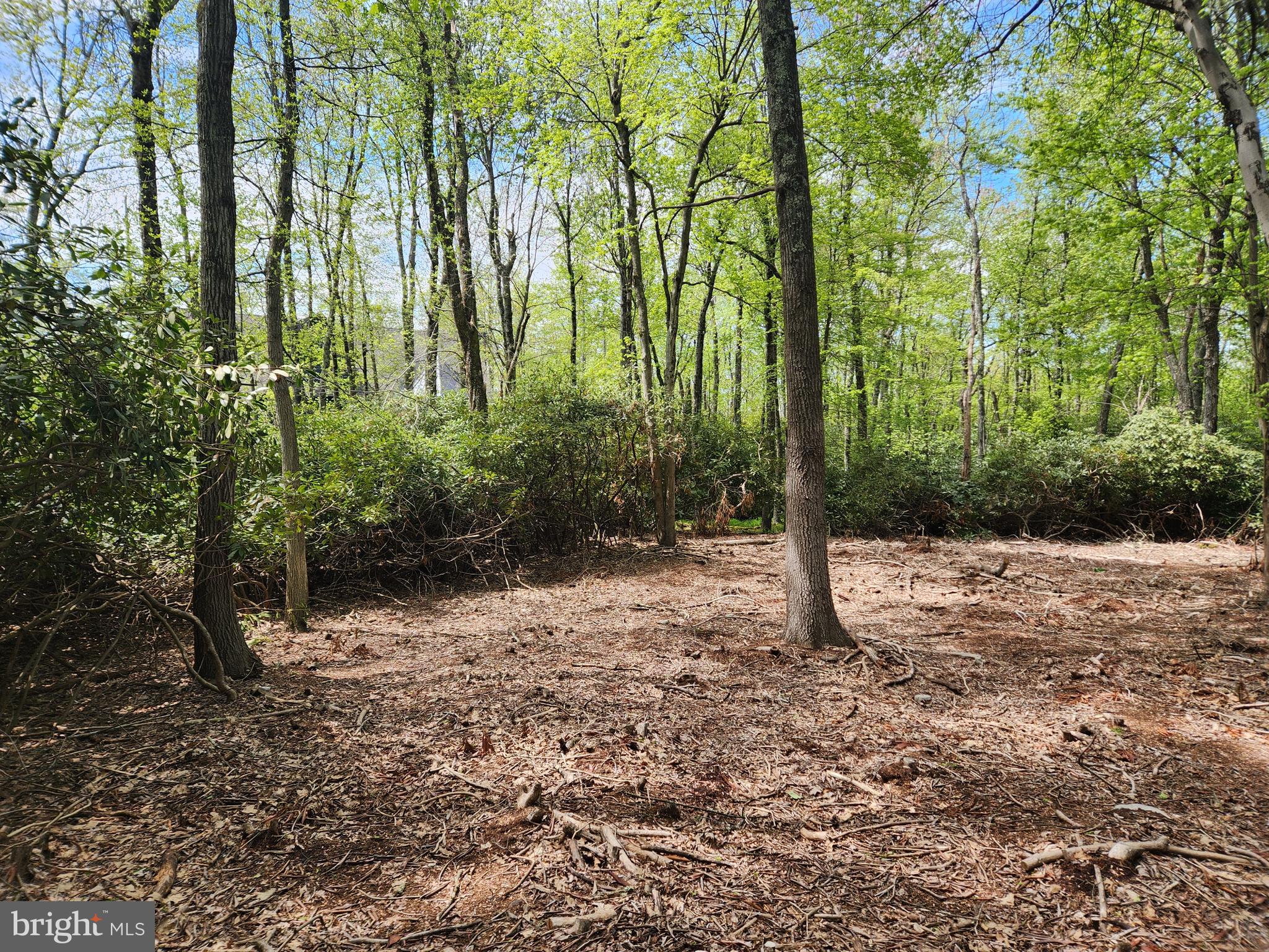 Builders and Investors DO NOT miss this opportunity to build on a 1+Acre building lot in Lake Harmony. This Extraordinarily Large 1.1Acre Lot is with in a short walking distance to the lake, the restaurants and the bars Lake Harmony has to offer. The Large Lot is Extremely Private and Backs up to over 300+Acres of Conserved Land. The Lot and Entrance is Partially Cleared. The Entire Perimeter is Surrounded by Large Rhododendrons that Afford the Serene Natural Privacy Looked for in a Majestic Mountain Retreat. The Possibilities are Endless. It is the Perfect Location for an Extra Large Short Term Rental with any Number of Outdoor Activities Included. A Creative Build can Easily Produce $175K+ in Annual Rental Income or a Project with Great Profit Margins for a Build-to-Sell.