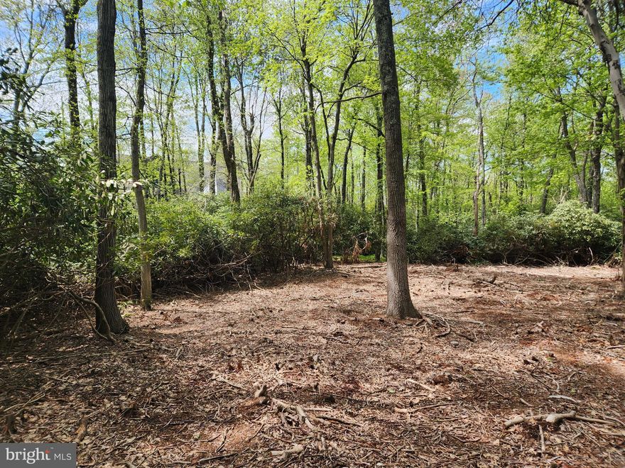 Builders and Investors DO NOT miss this opportunity to build on a 1+Acre building lot in Lake Harmony. This Extraordinarily Large 1.1Acre Lot is with in a short walking distance to the lake, the restaurants and the bars Lake Harmony has to offer. The Large Lot is Extremely Private and Backs up to over 300+Acres of Conserved Land.  The Lot and Entrance is Partially Cleared.  The Entire Perimeter is Surrounded by Large Rhododendrons that Afford the Serene Natural Privacy Looked for in a Majestic Mountain Retreat.  The Possibilities are Endless. It is the Perfect Location for an Extra Large Short Term Rental with any Number of Outdoor Activities Included.  A Creative Build can Easily Produce $175K+ in Annual Rental Income or a Project with Great Profit Margins for a Build-to-Sell.