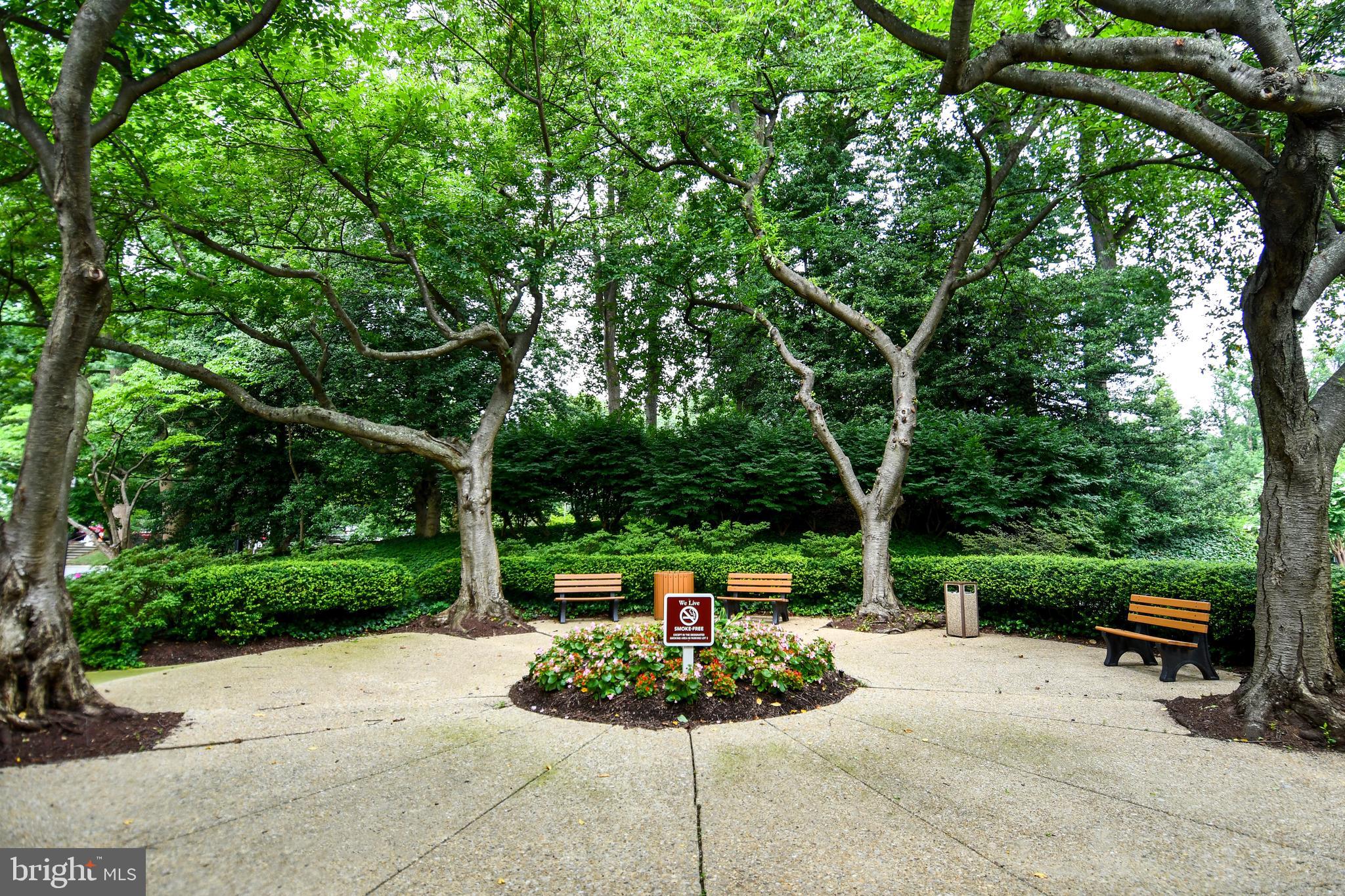 Major Price Adjustment – Priced to Sell! The seller is highly motivated and ready to make a deal on this move-in-ready, beautifully updated condo. Don't miss this incredible opportunity to own a luxury residence at The Promenade, one of Bethesda’s most sought-after full-service buildings!
Step into nearly 1,000 square feet of resort-style living in this impeccably maintained 1-bedroom, 1-bath home. With newly polished, gleaming wood floors and an abundance of natural light, this spacious unit combines elegance, comfort, and modern finishes. The building has been completely renovated lobby sets the tone for the upscale lifestyle that awaits—sophisticated, secure, and convenient.
Whether you're a first-time buyer, downsizing, or looking for a luxurious pied-à-terre, this condo offers exceptional value and a motivated seller ready to make your homeownership dreams a reality.
From the moment you enter the stylish ceramic-tiled foyer, you’ll notice the attention to detail—from the freshly painted unit to the oversized walk-in closet. The spacious living room flows effortlessly into the gourmet kitchen, where you'll find 42” custom cabinetry, quartz countertops, tile backsplash, stainless steel appliances, and gas cooking. There's even space for a cozy breakfast nook.
The elegant dining area opens to your private balcony—perfect for morning coffee or evening cocktails with serene views of the lush property grounds.
The grand primary suite is a private retreat, featuring newly polished hardwood floors, recessed lighting, a sitting area, and a large walk-in closet. The spa-inspired bathroom showcases a quartz vanity, soaking tub/shower, and updated fixtures. We have a very motivated seller ready to take your offers!
Additional Highlights:
✔ Designer finishes throughout
✔ Premier garage parking space
✔ Fresh neutral paint
✔ Central A/C & gas heat
✔ Double-pane windows
✔ Elevator building
The Monthly Co-op Fee Covers It All:
All utilities, property taxes, cable, internet, 24/7 security, and access to The Promenade’s world-class amenities: indoor/outdoor pools, a fully equipped gym and sauna, tennis and pickleball courts, walking paths, library, community garden and clubhouse, and concierge services.
Retail arcade featuring Chef Tony’s Restaurant, grocery/deli, salon, dry cleaner, and more
All this located just minutes from downtown Bethesda, I-495/I-270, NIH, Metro, shopping, dining, and parks.
Don't miss your opportunity to live in one of Bethesda’s most coveted communities. The Promenade has it all—comfort, convenience, and luxury!