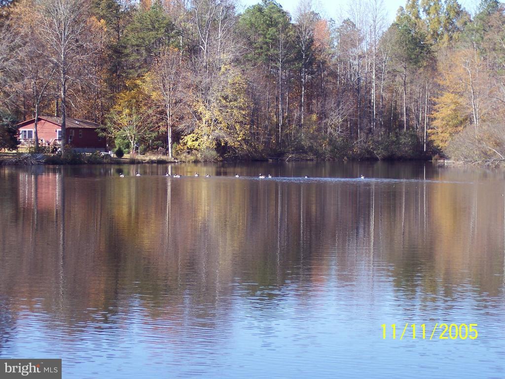 CAROLINE PINES - Residential