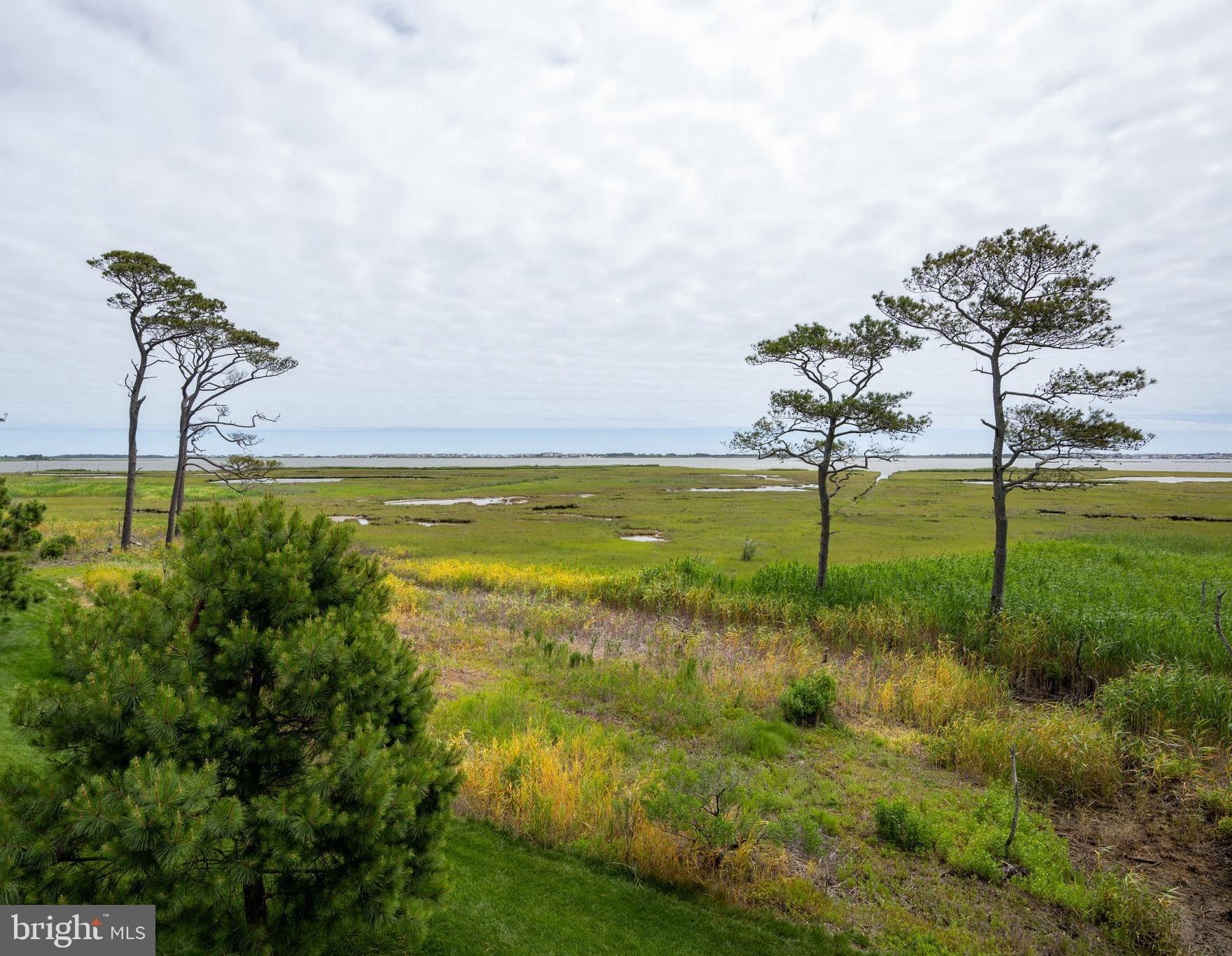 38854 POINT DRIVE
